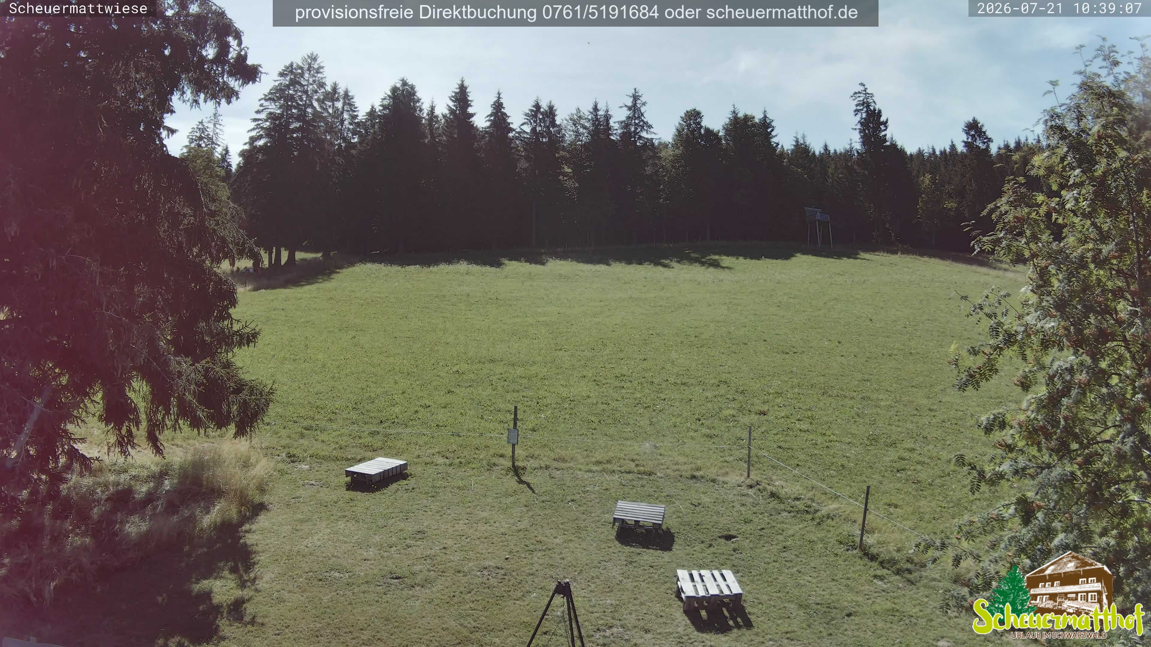 Archiv Foto Webcam Todtnauberg - Scheuermattwiese