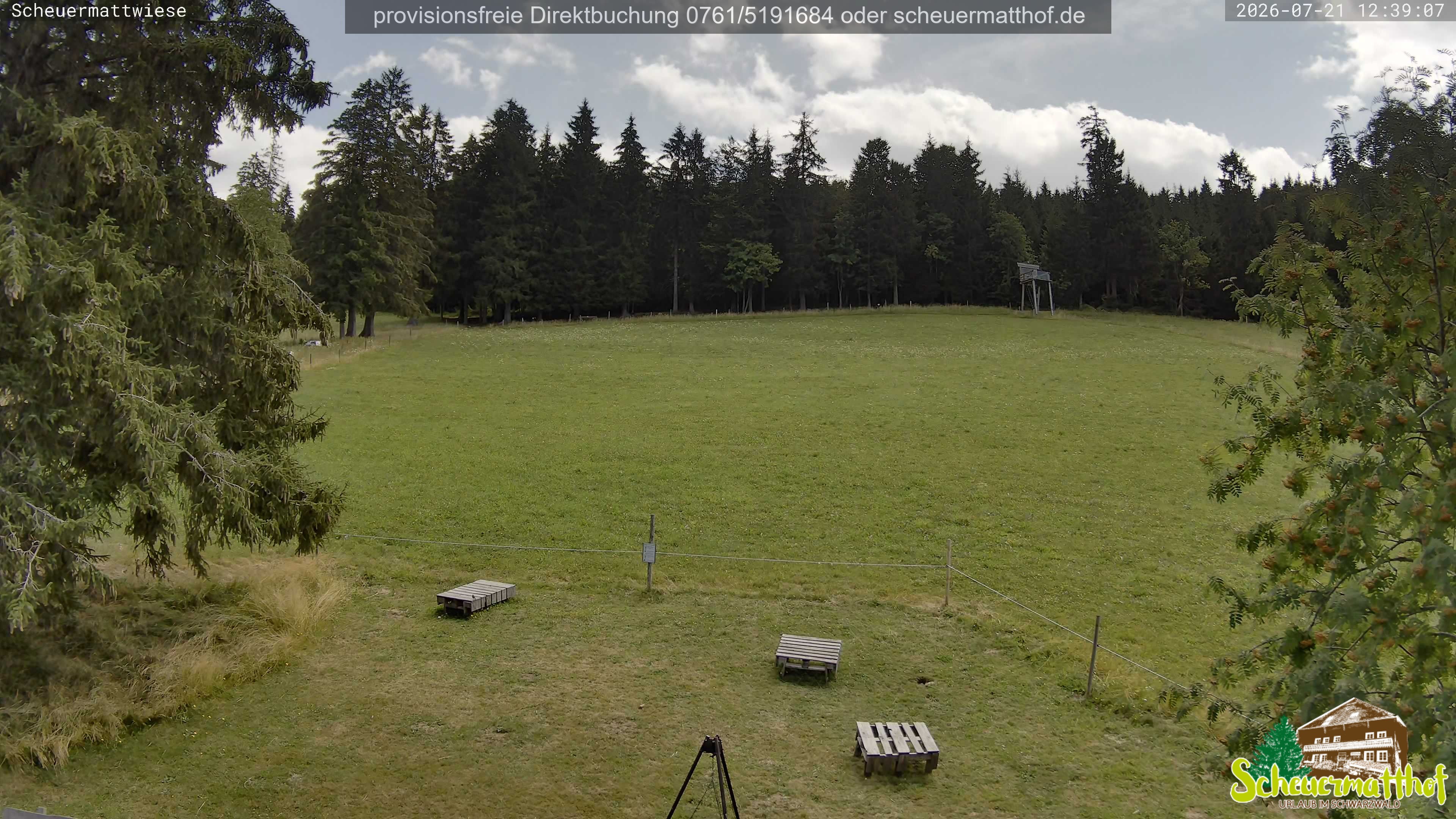 Archiv Foto Webcam Todtnauberg - Scheuermattwiese