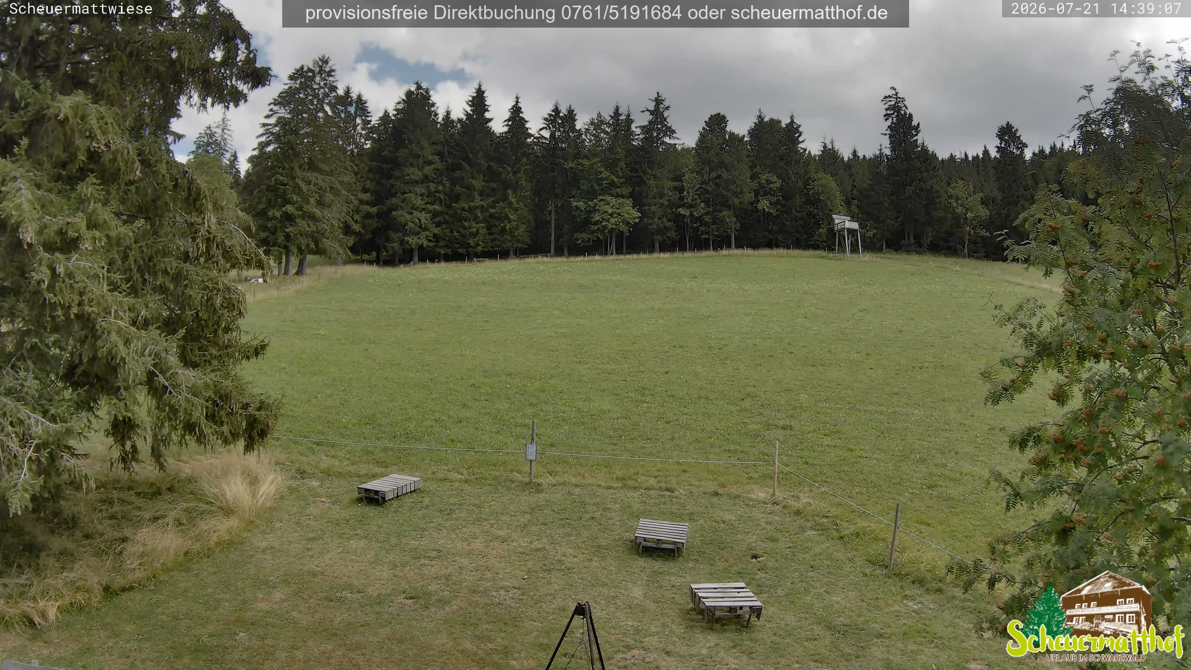 Archiv Foto Webcam Todtnauberg - Scheuermattwiese