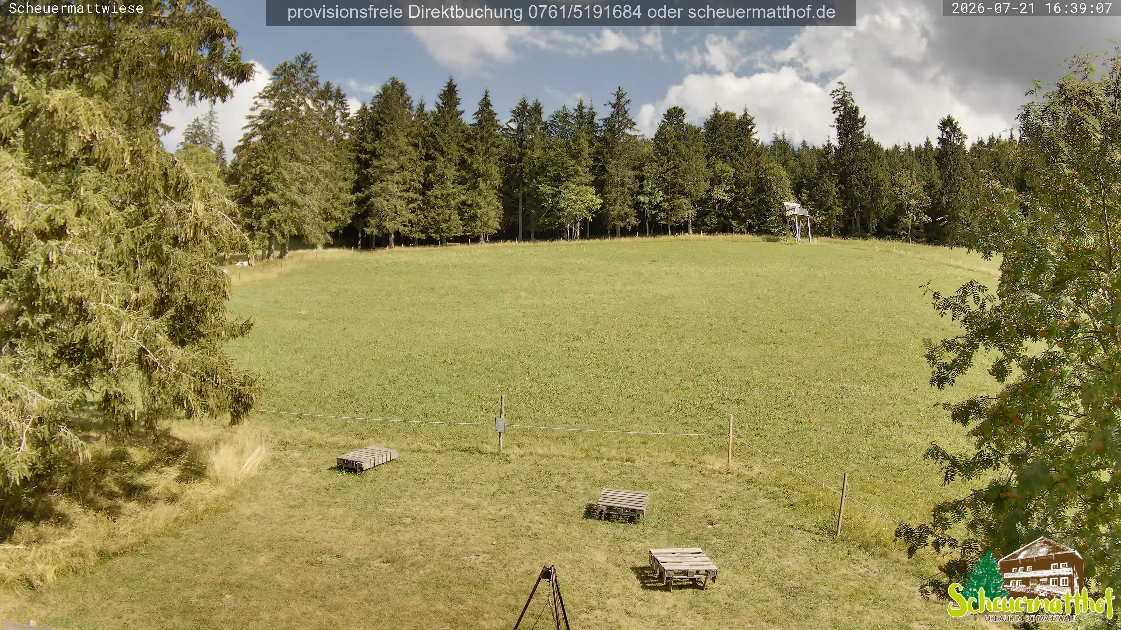 Archiv Foto Webcam Todtnauberg - Scheuermattwiese