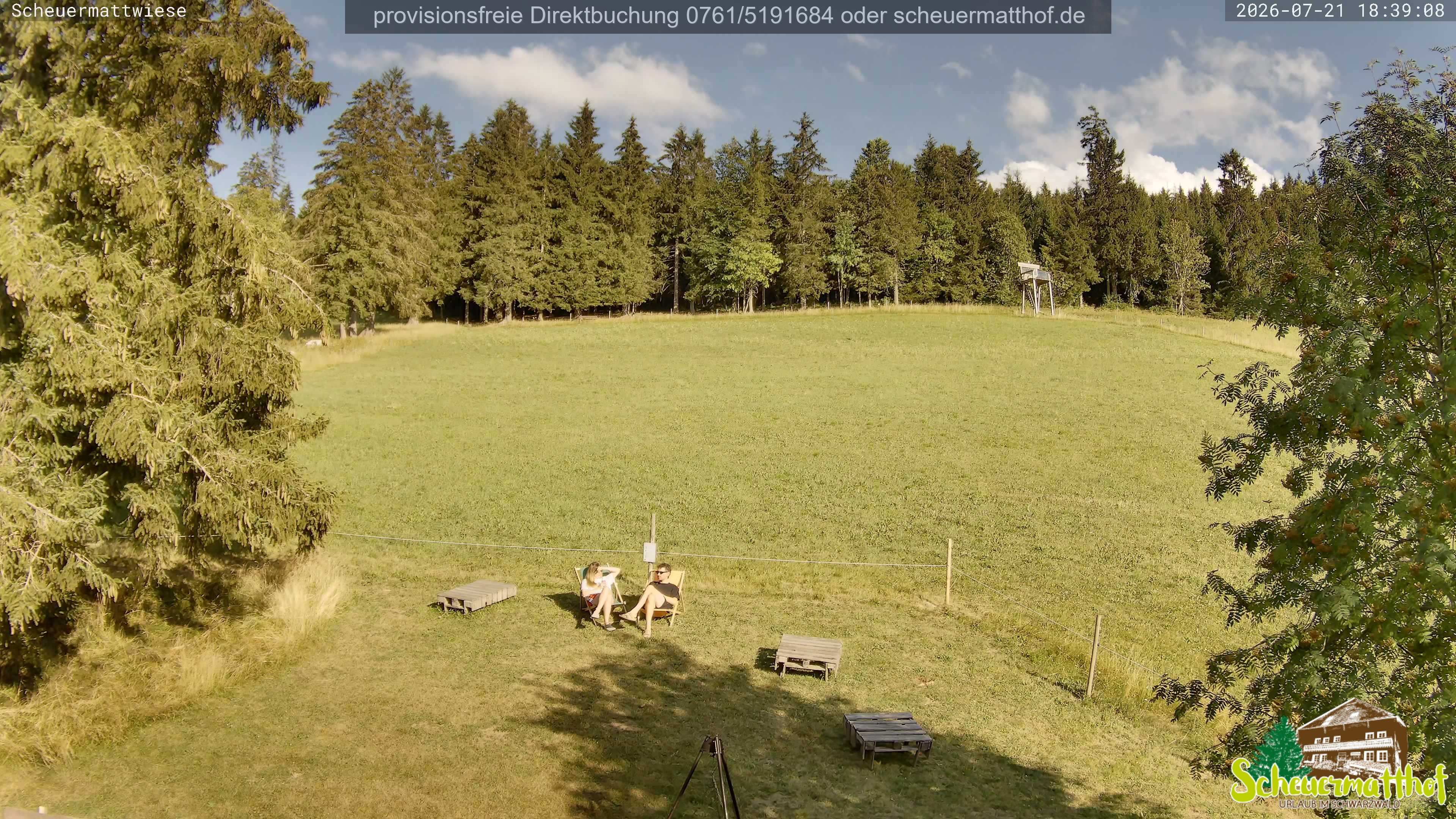 Archiv Foto Webcam Todtnauberg - Scheuermattwiese