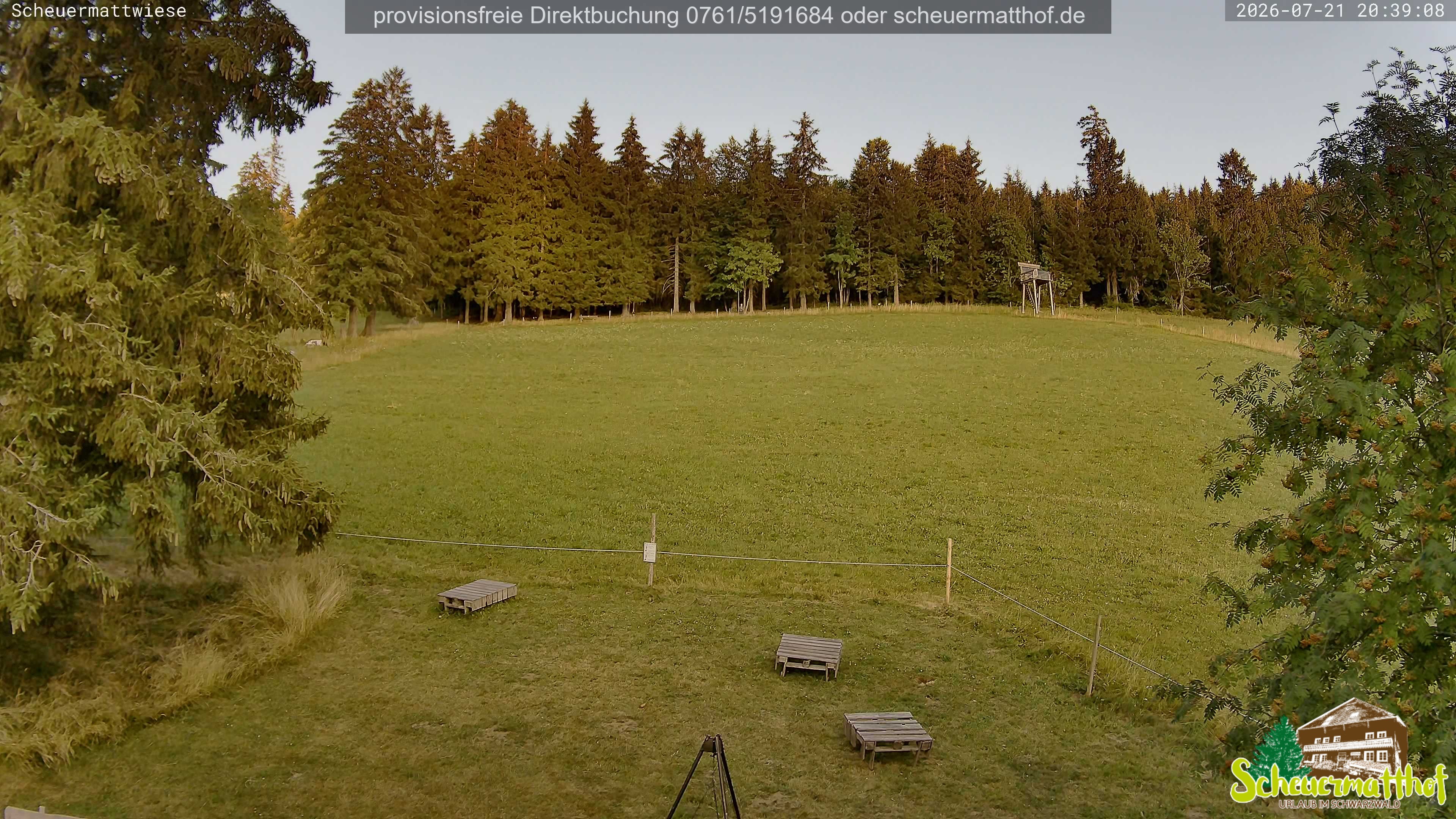 Archiv Foto Webcam Todtnauberg - Scheuermattwiese