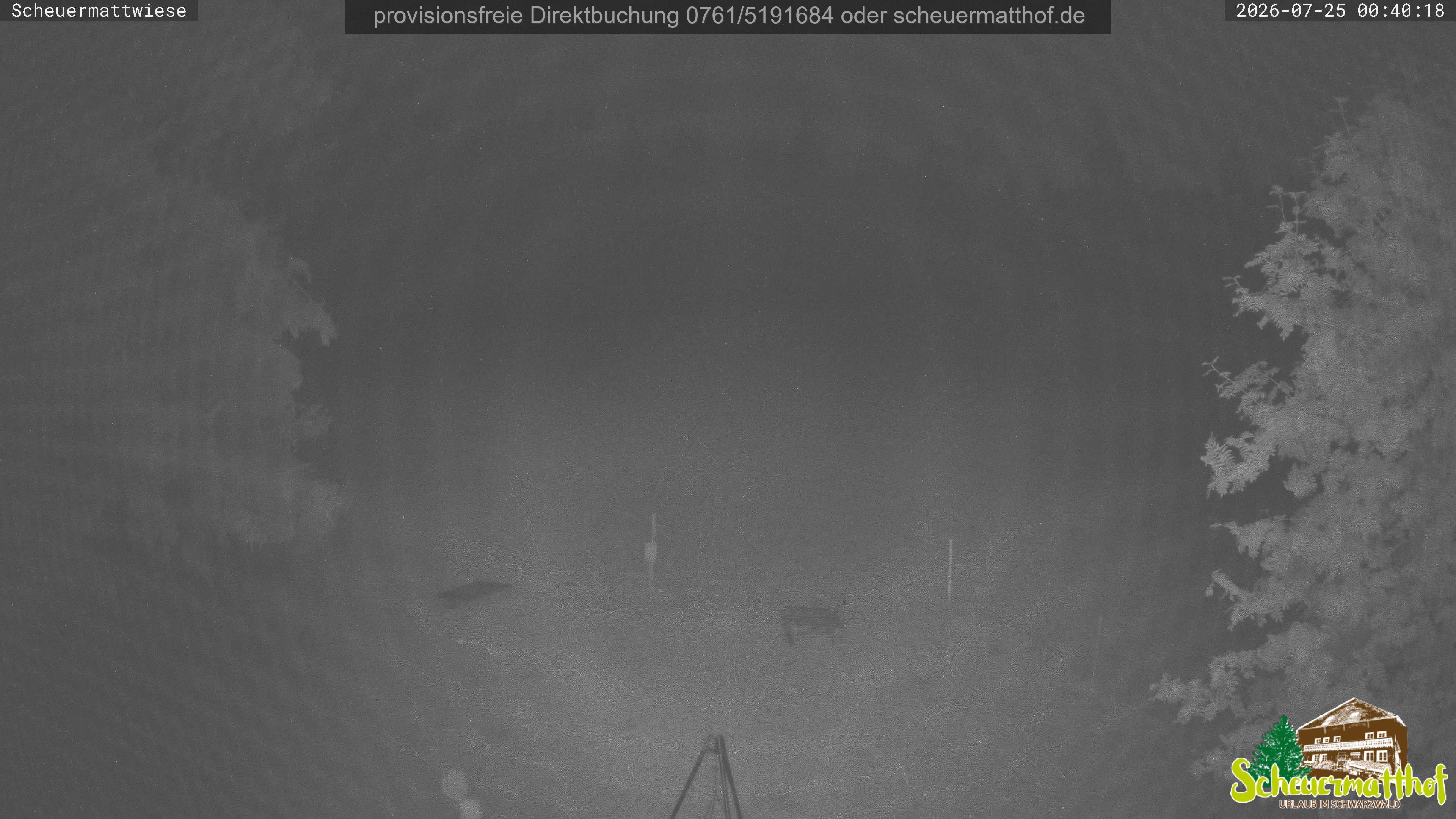 Archived image Webcam Todtnauberg - Scheuermatthof