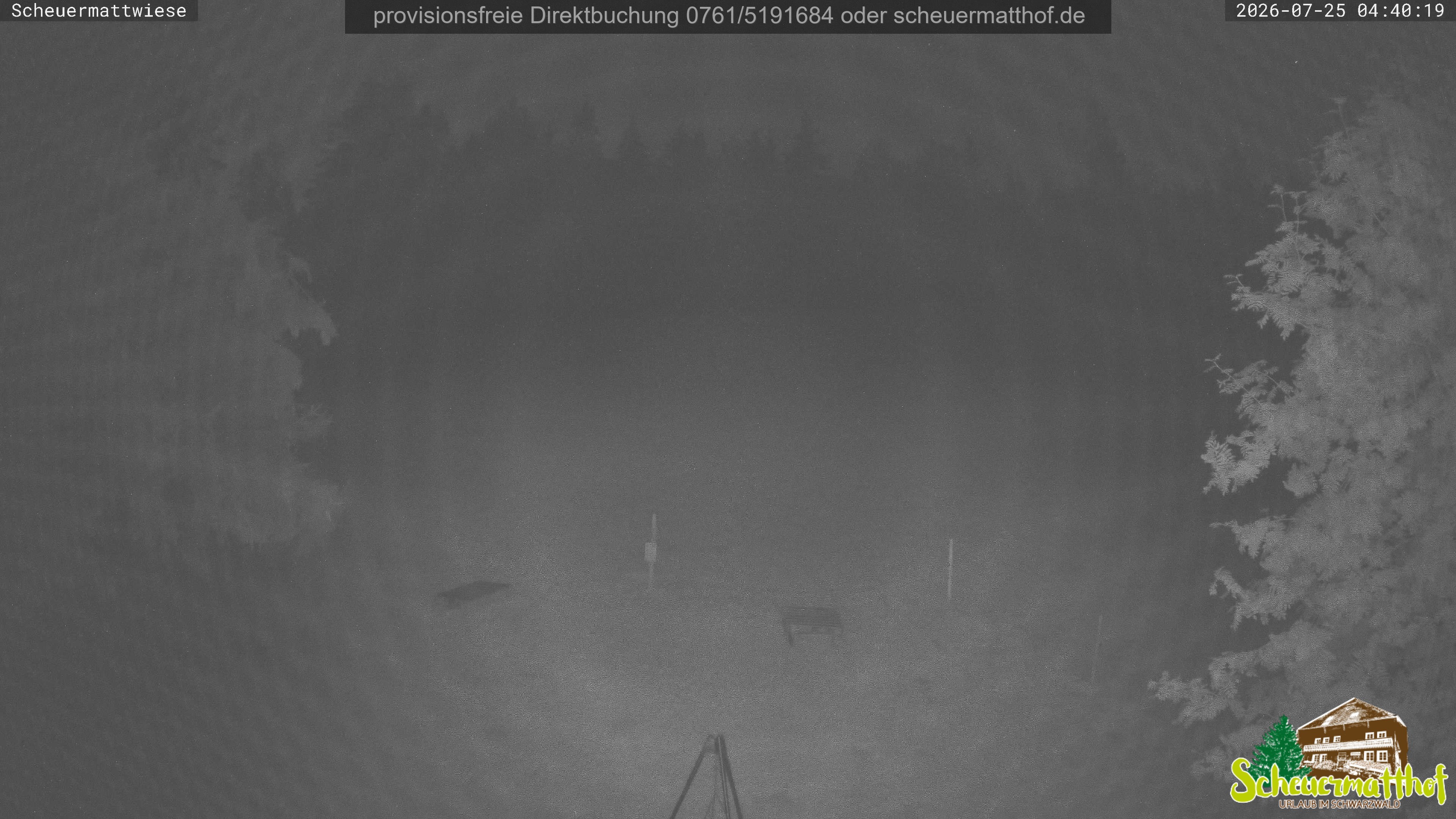 Archived image Webcam Todtnauberg - Scheuermatthof