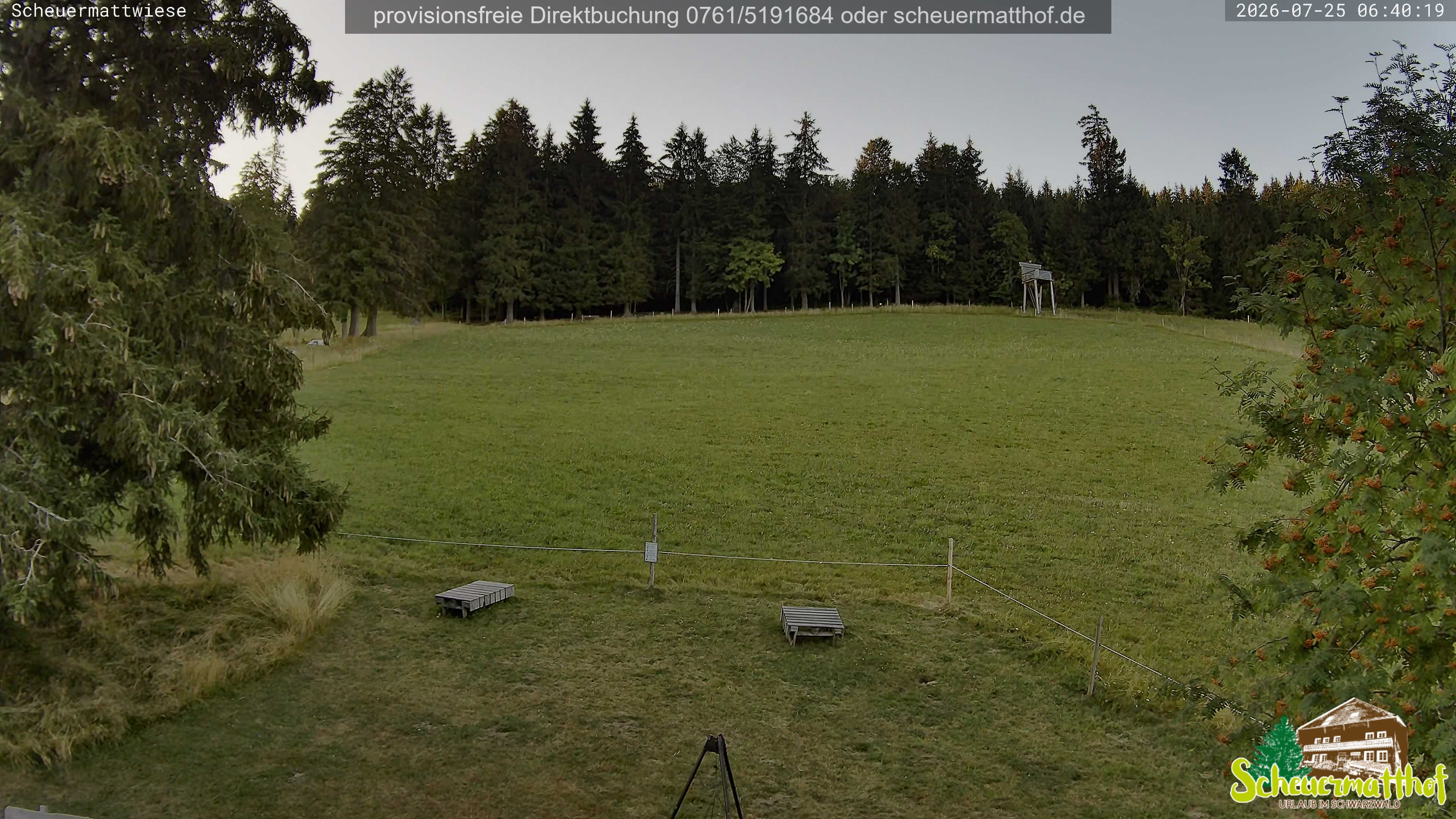 Archived image Webcam Todtnauberg - Scheuermatthof