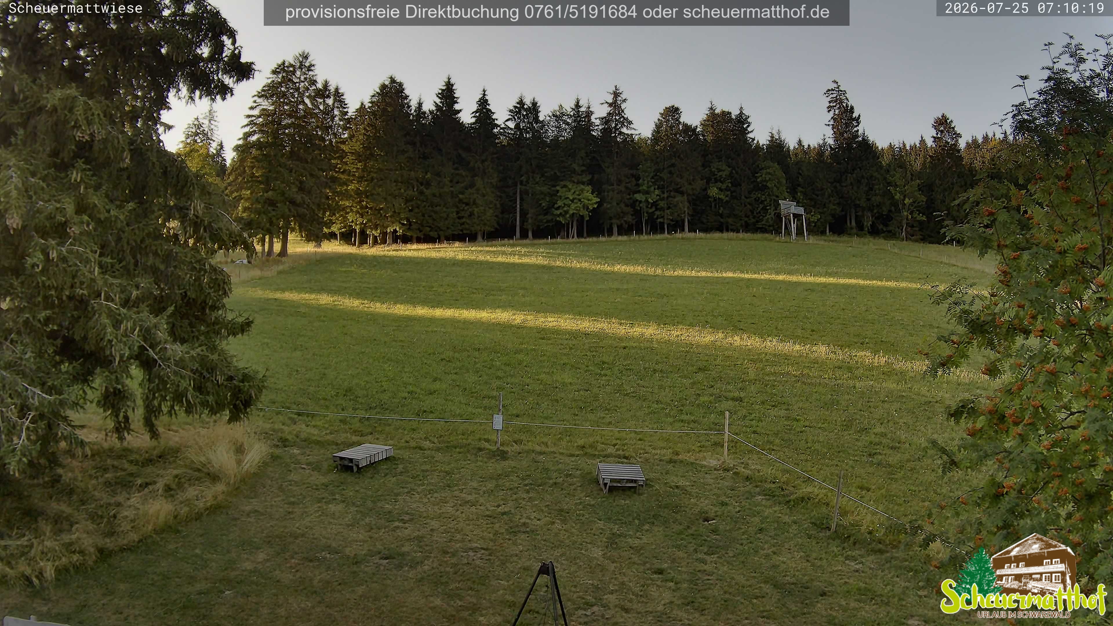 Archived image Webcam Todtnauberg - Scheuermatthof