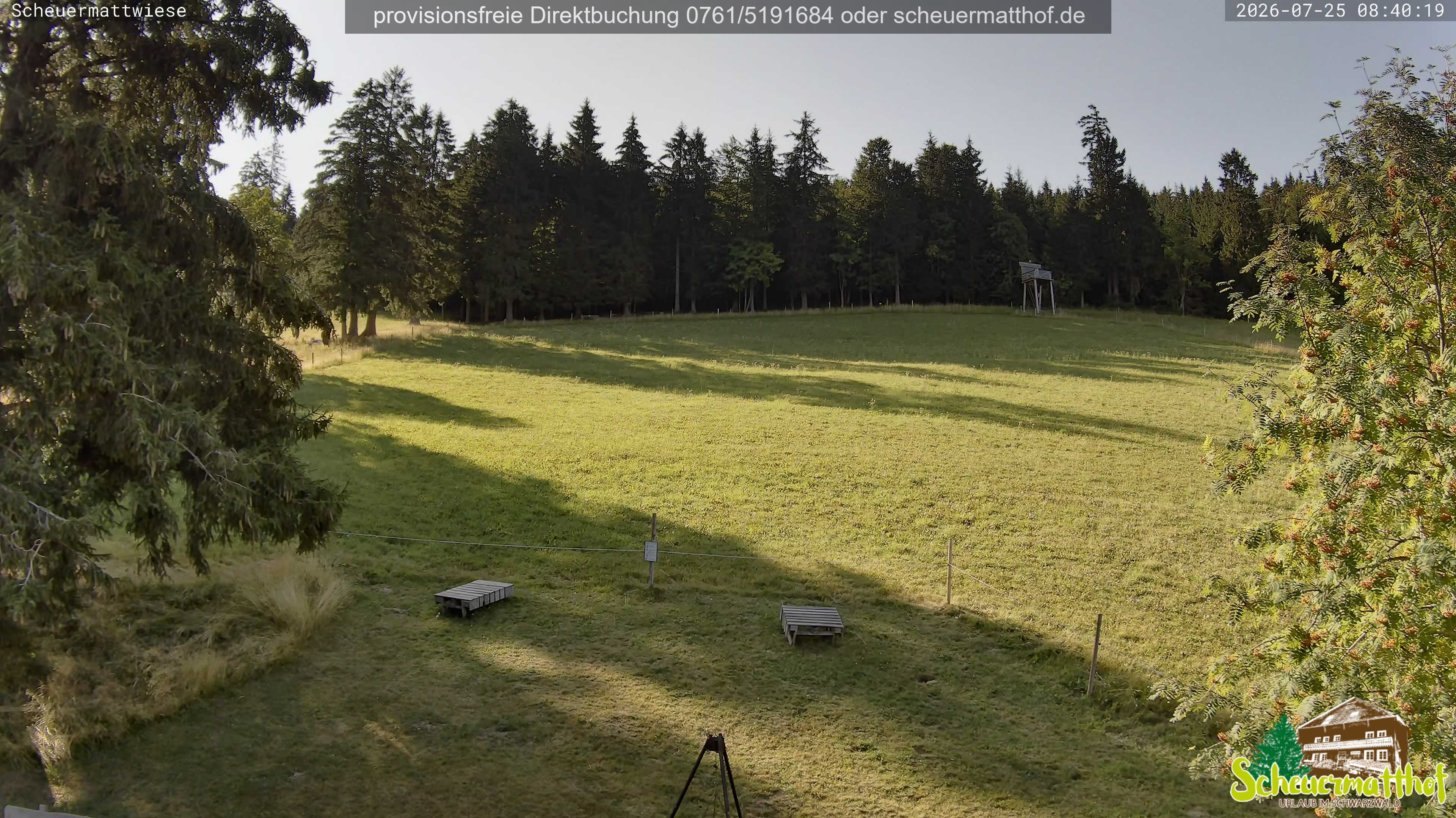 Archived image Webcam Todtnauberg - Scheuermatthof