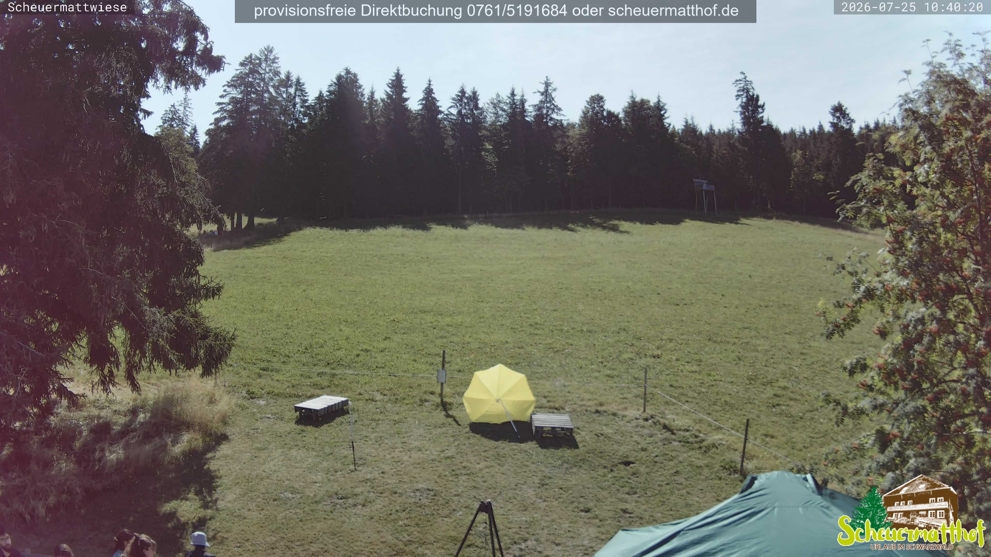 Archived image Webcam Todtnauberg - Scheuermatthof