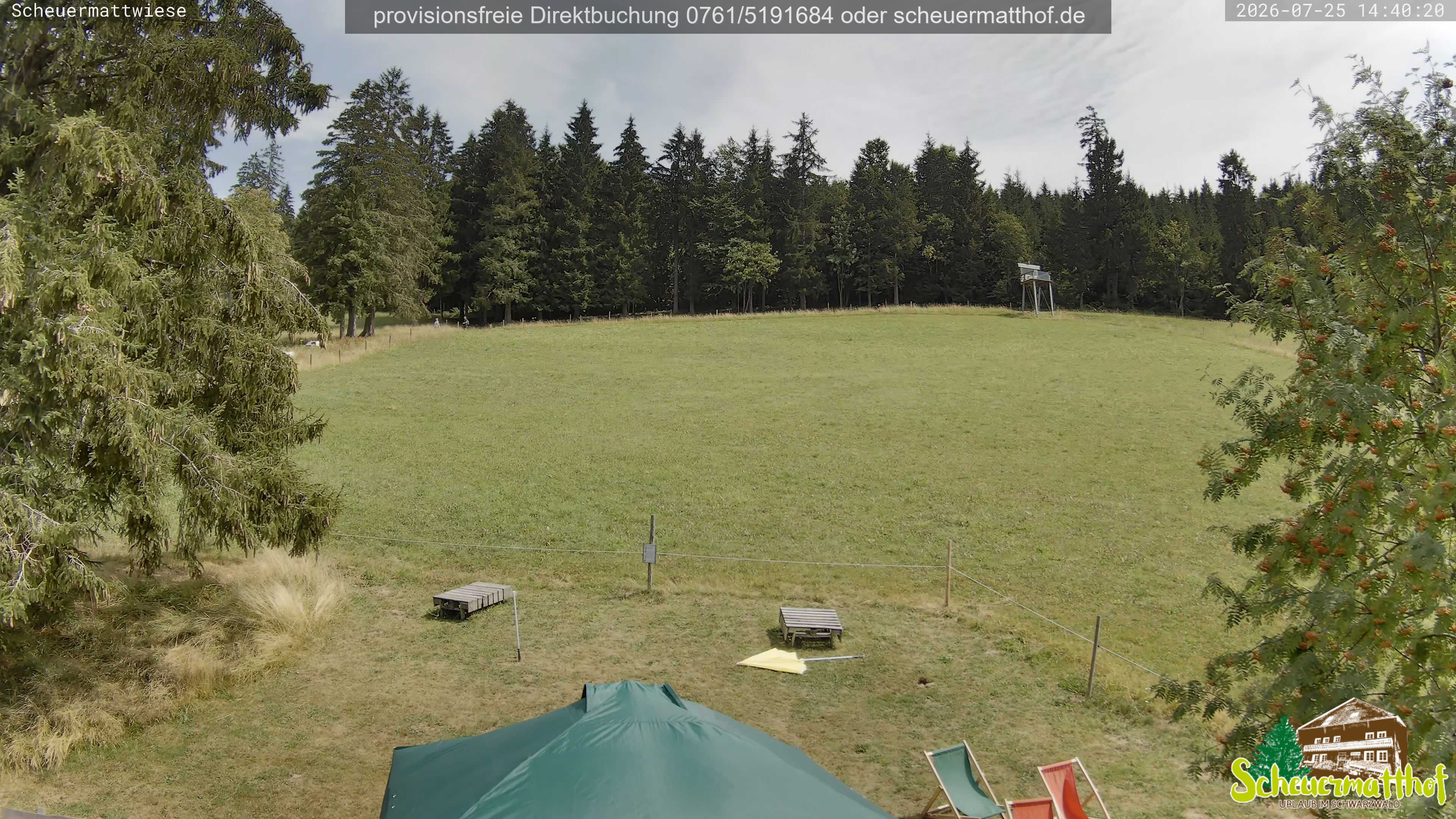 Archived image Webcam Todtnauberg - Scheuermatthof
