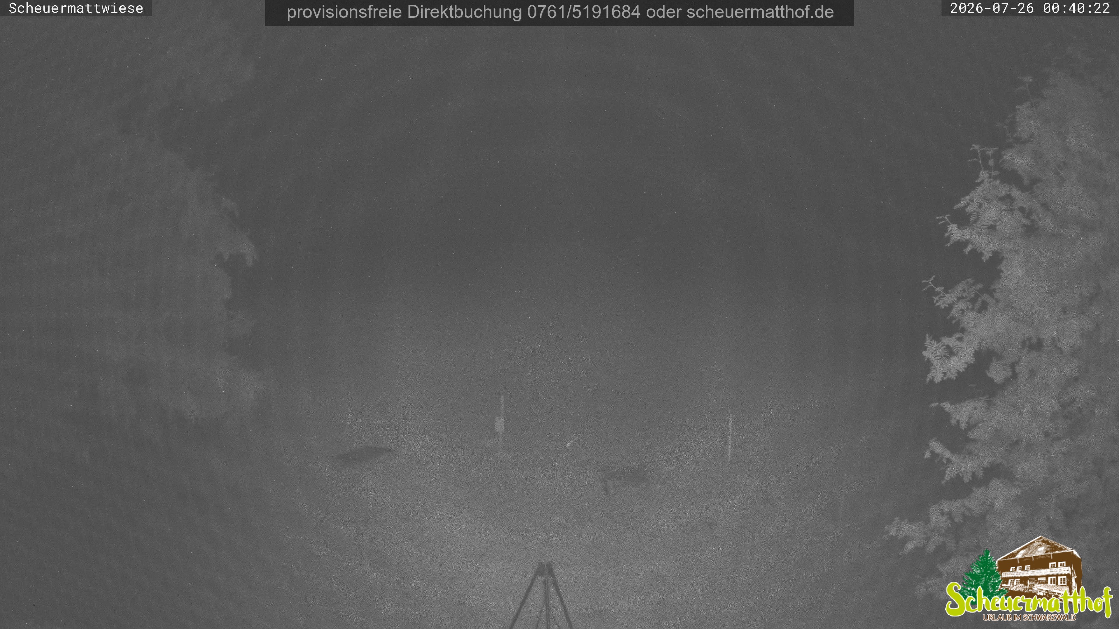 Archived image Webcam Todtnauberg - Scheuermatthof