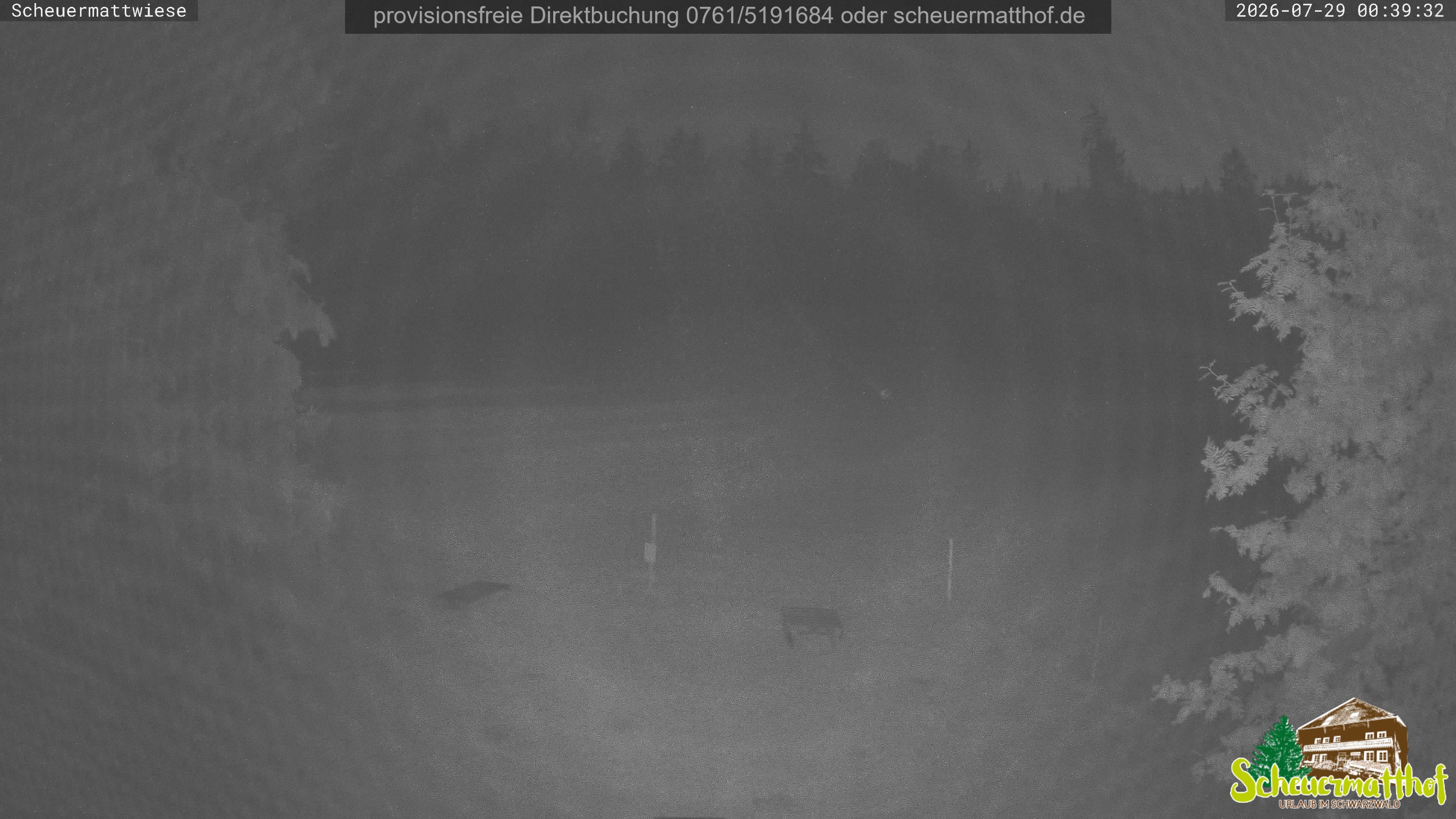 Archiv Foto Webcam Todtnauberg - Scheuermattwiese