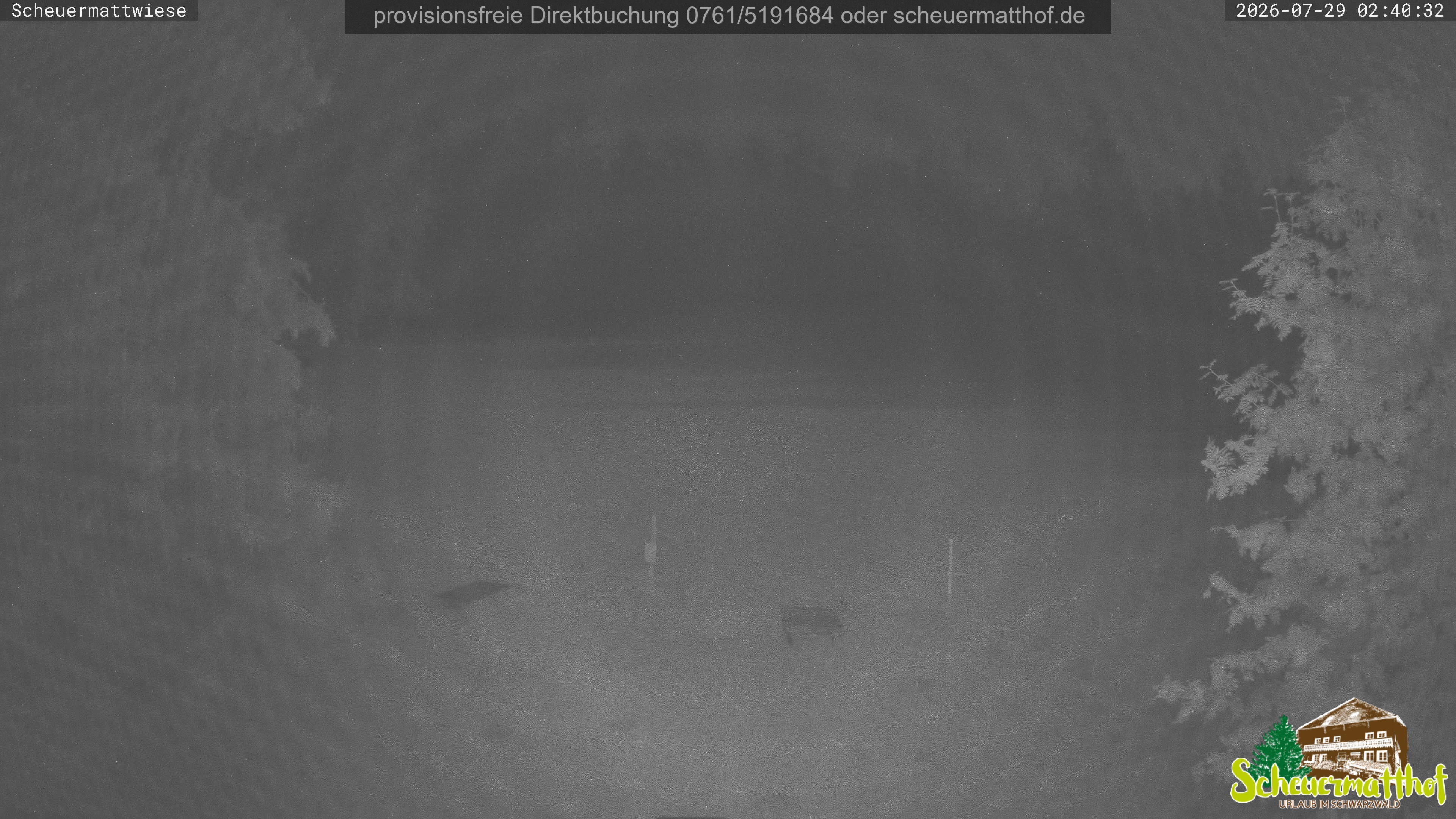 Archiv Foto Webcam Todtnauberg - Scheuermattwiese