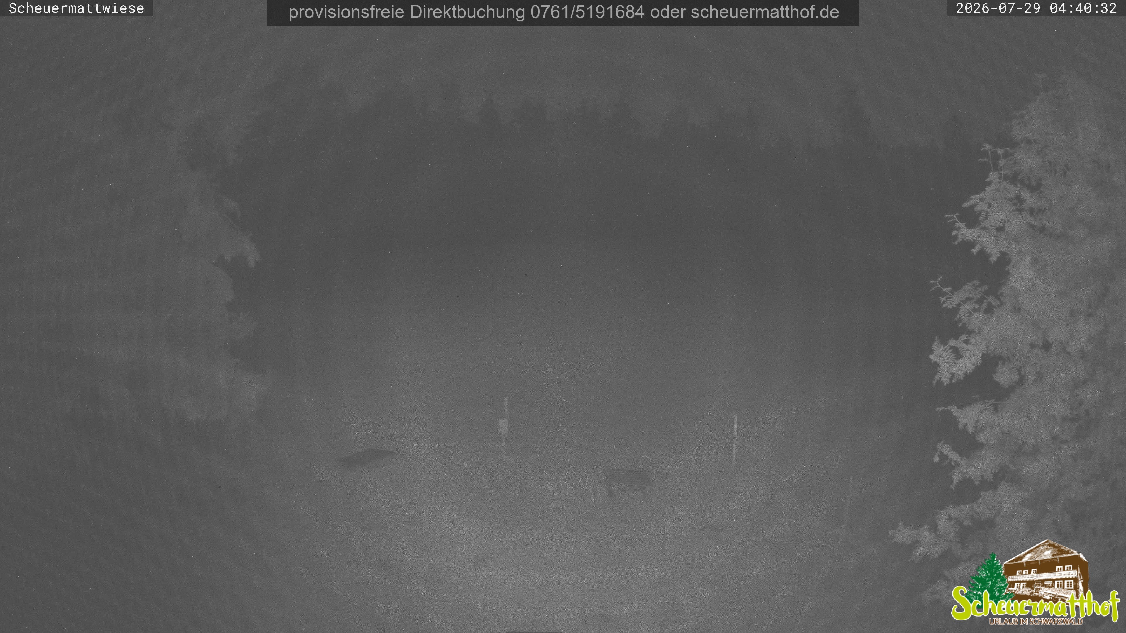 Archiv Foto Webcam Todtnauberg - Scheuermattwiese