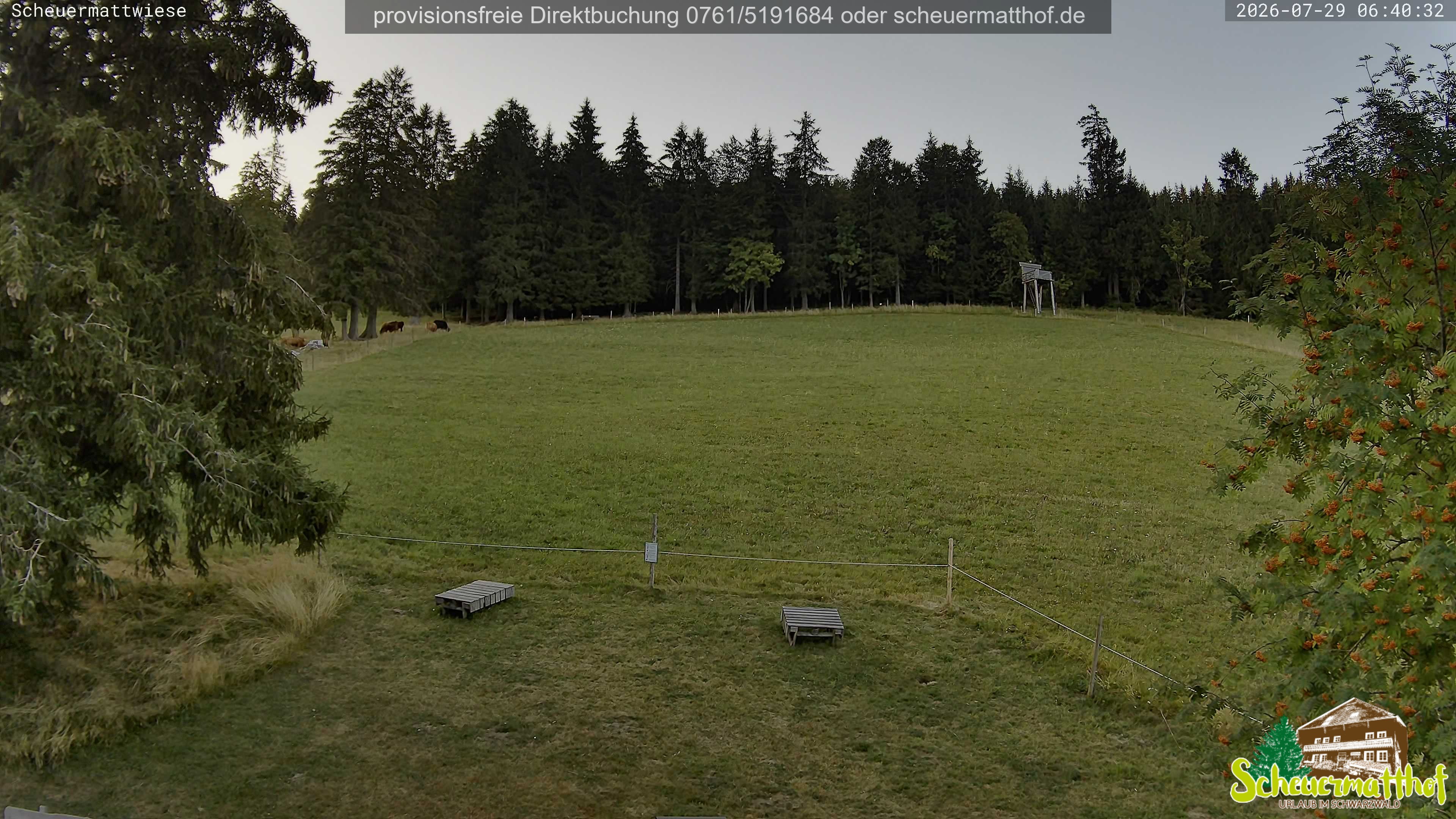 Archiv Foto Webcam Todtnauberg - Scheuermattwiese