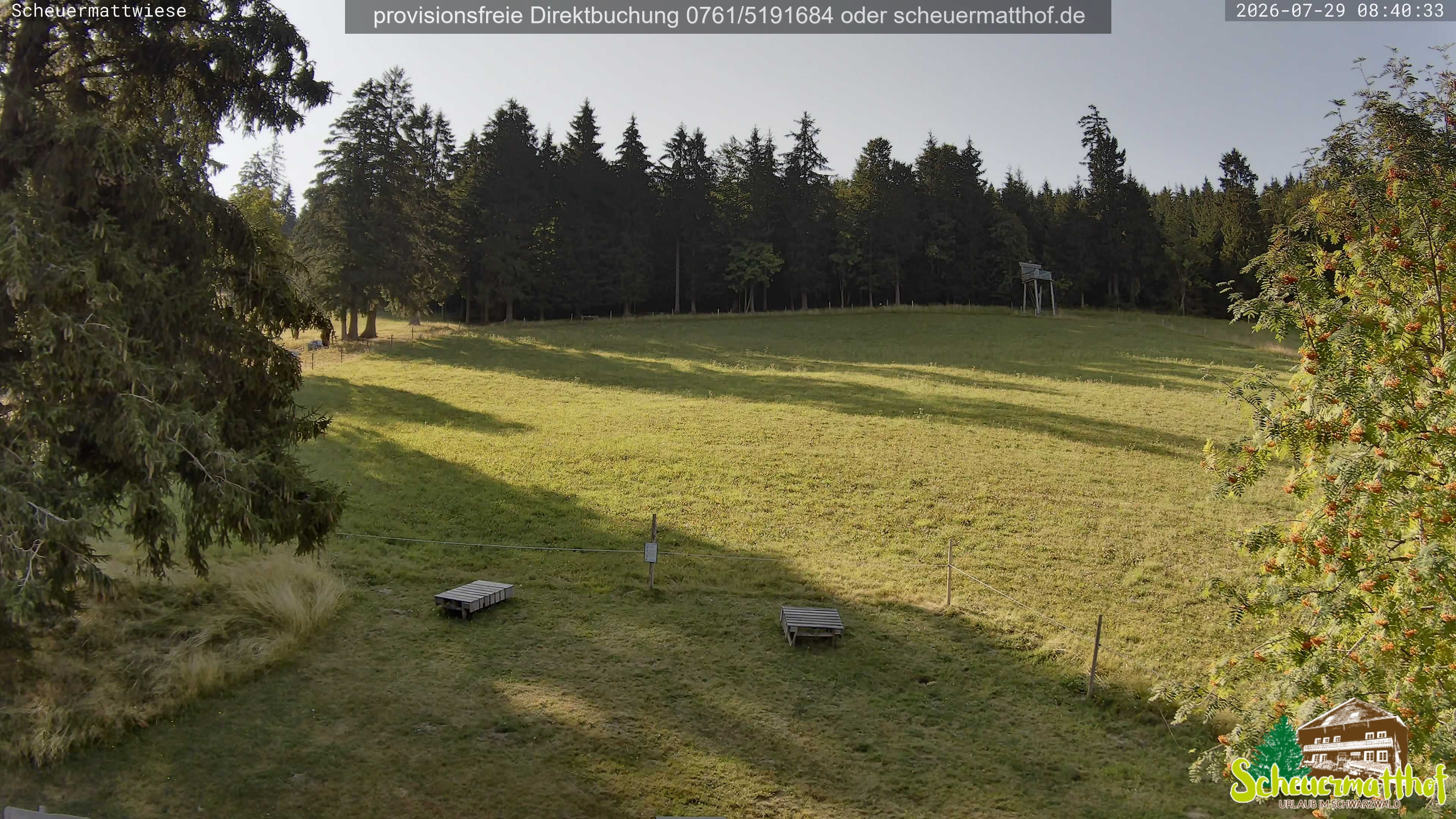Archiv Foto Webcam Todtnauberg - Scheuermattwiese