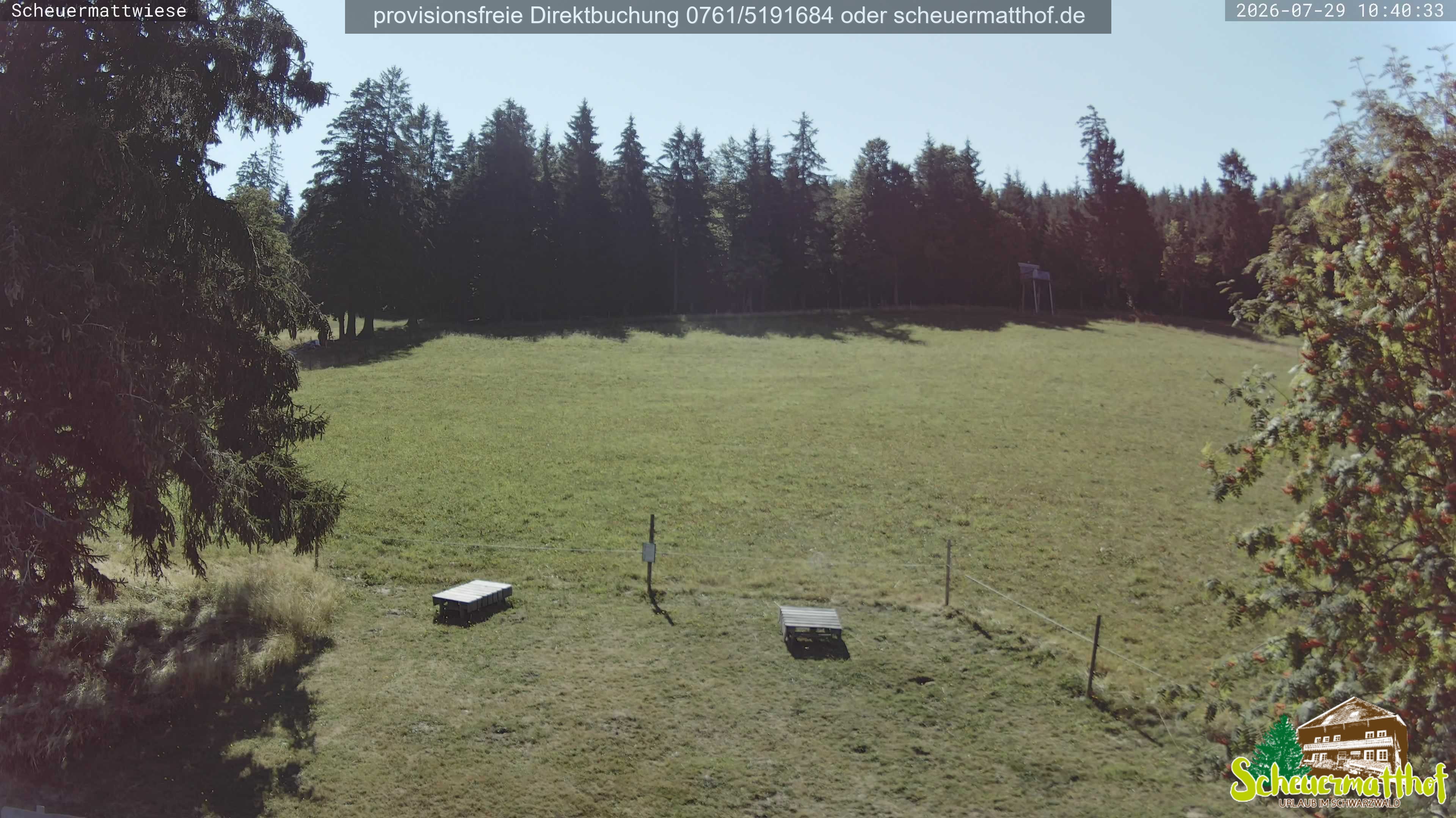 Archiv Foto Webcam Todtnauberg - Scheuermattwiese