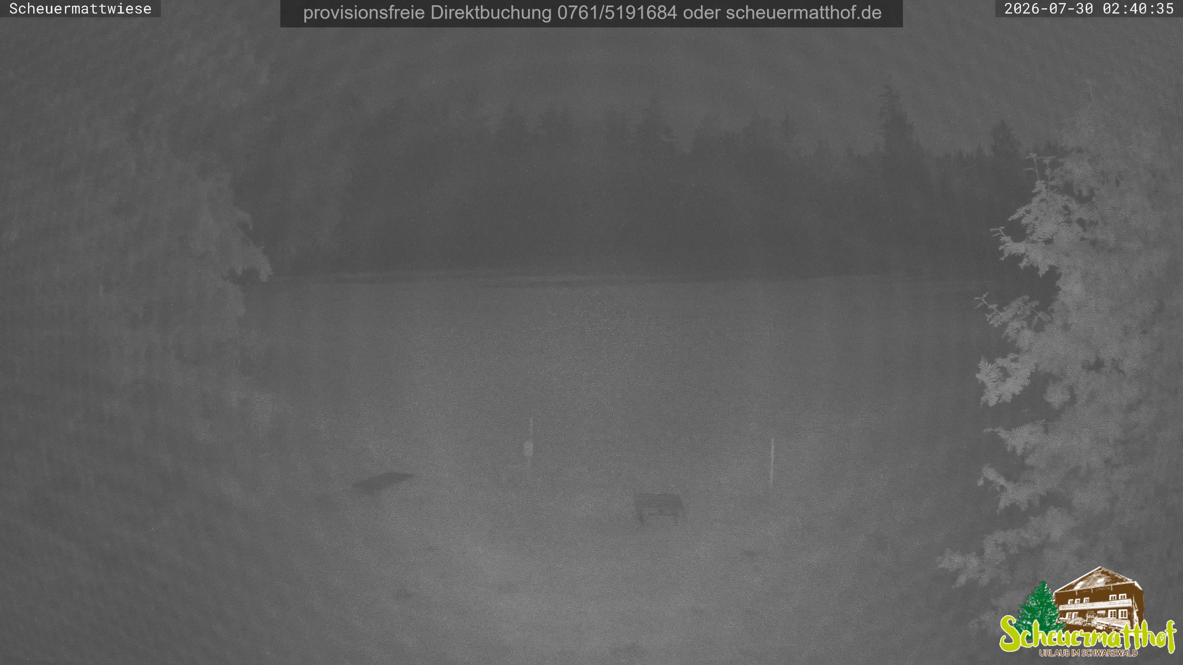 Archiv Foto Webcam Todtnauberg - Scheuermattwiese