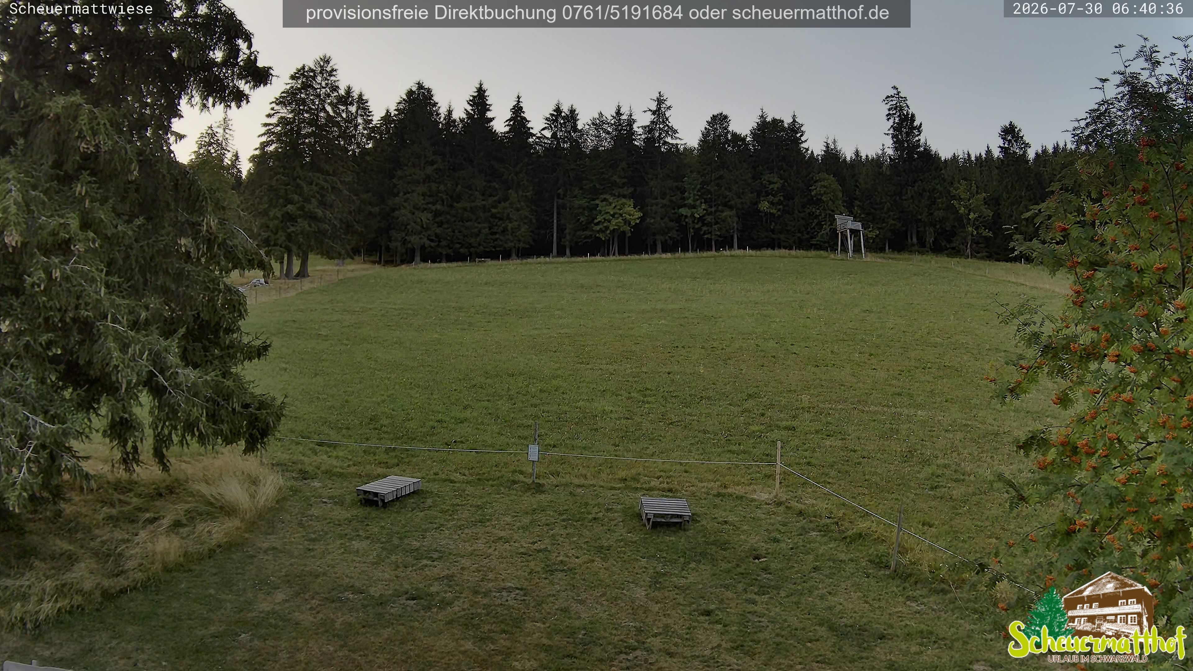 Archiv Foto Webcam Todtnauberg - Scheuermattwiese