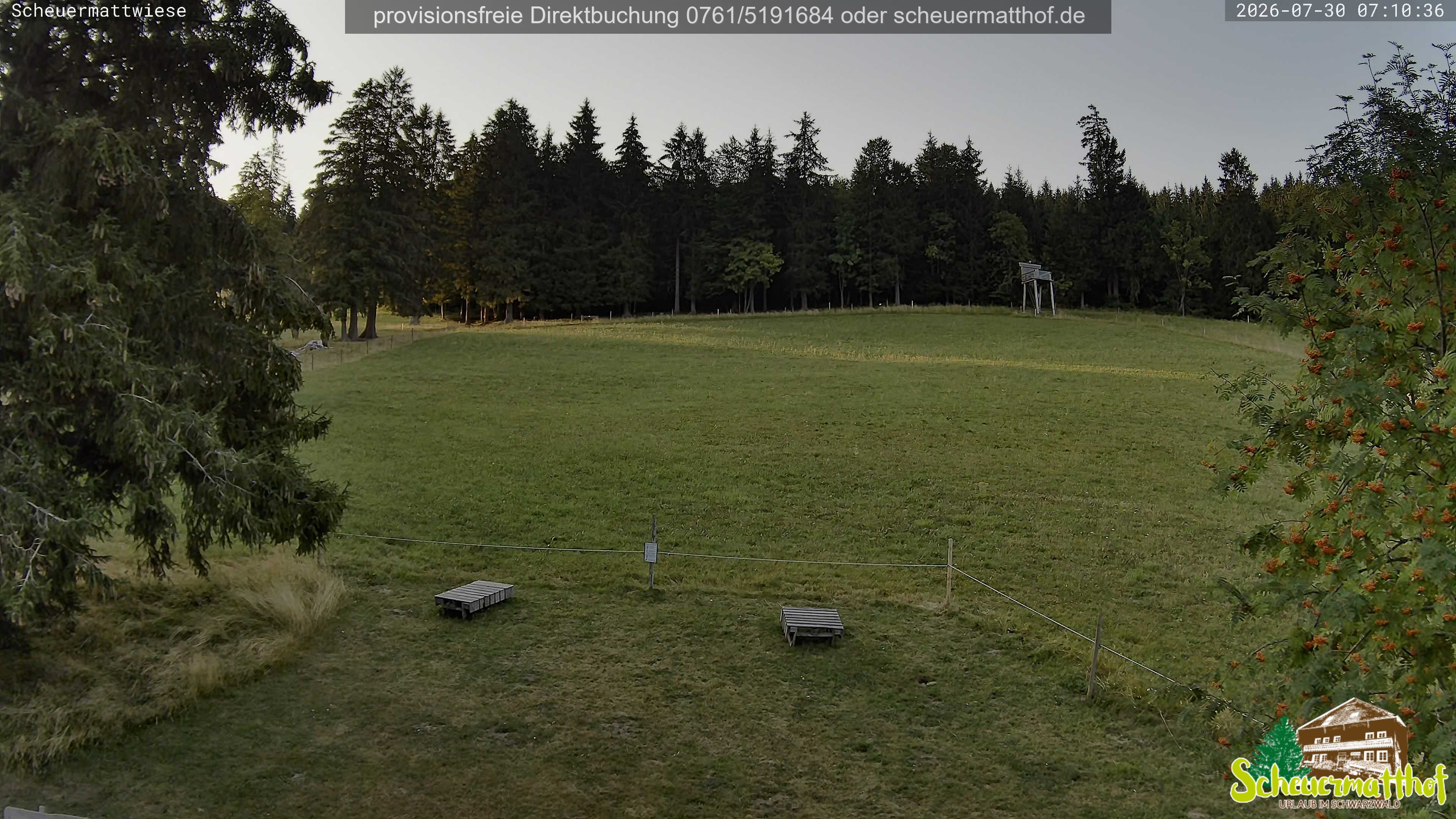 Archiv Foto Webcam Todtnauberg - Scheuermattwiese