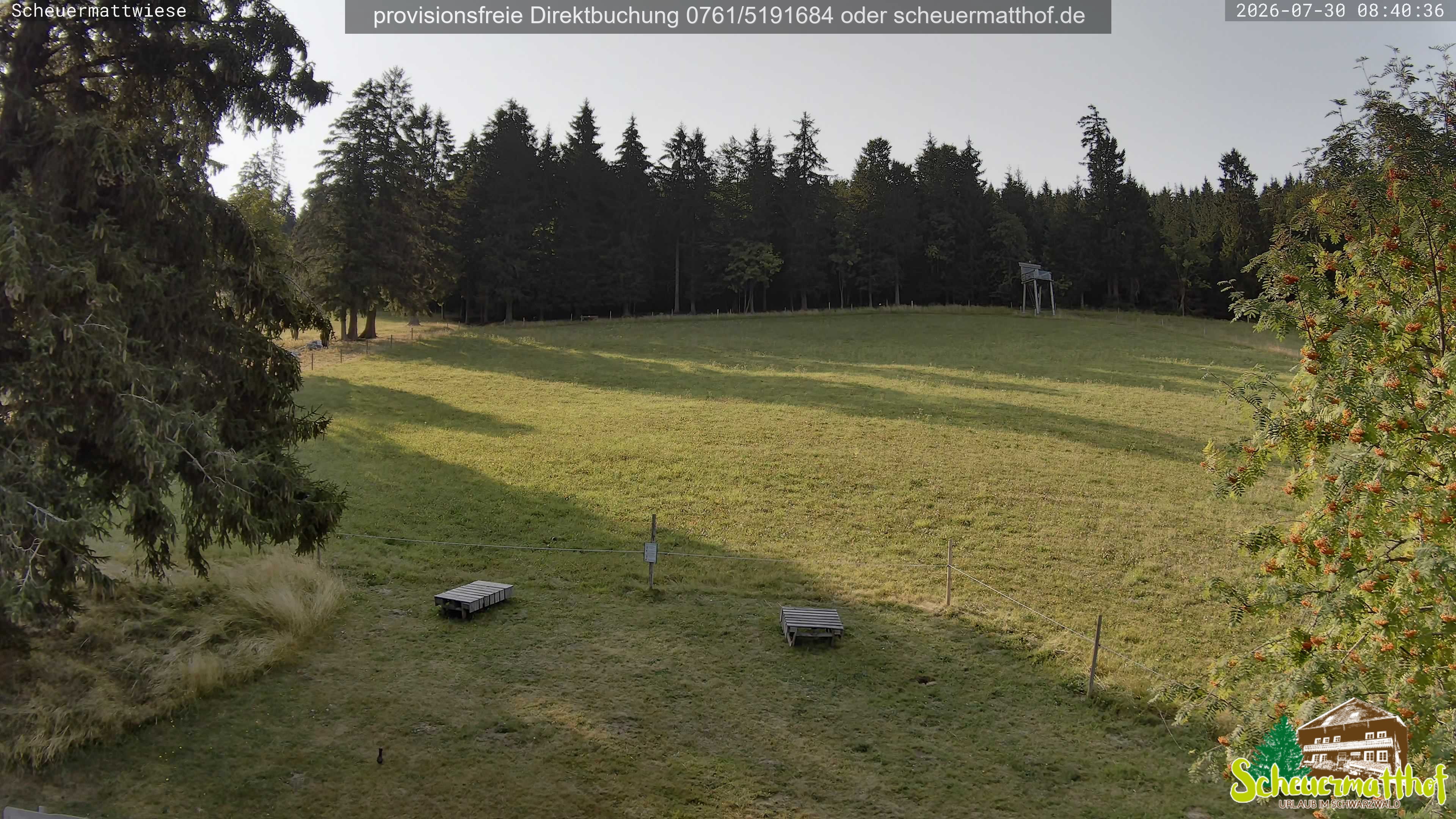 Archiv Foto Webcam Todtnauberg - Scheuermattwiese