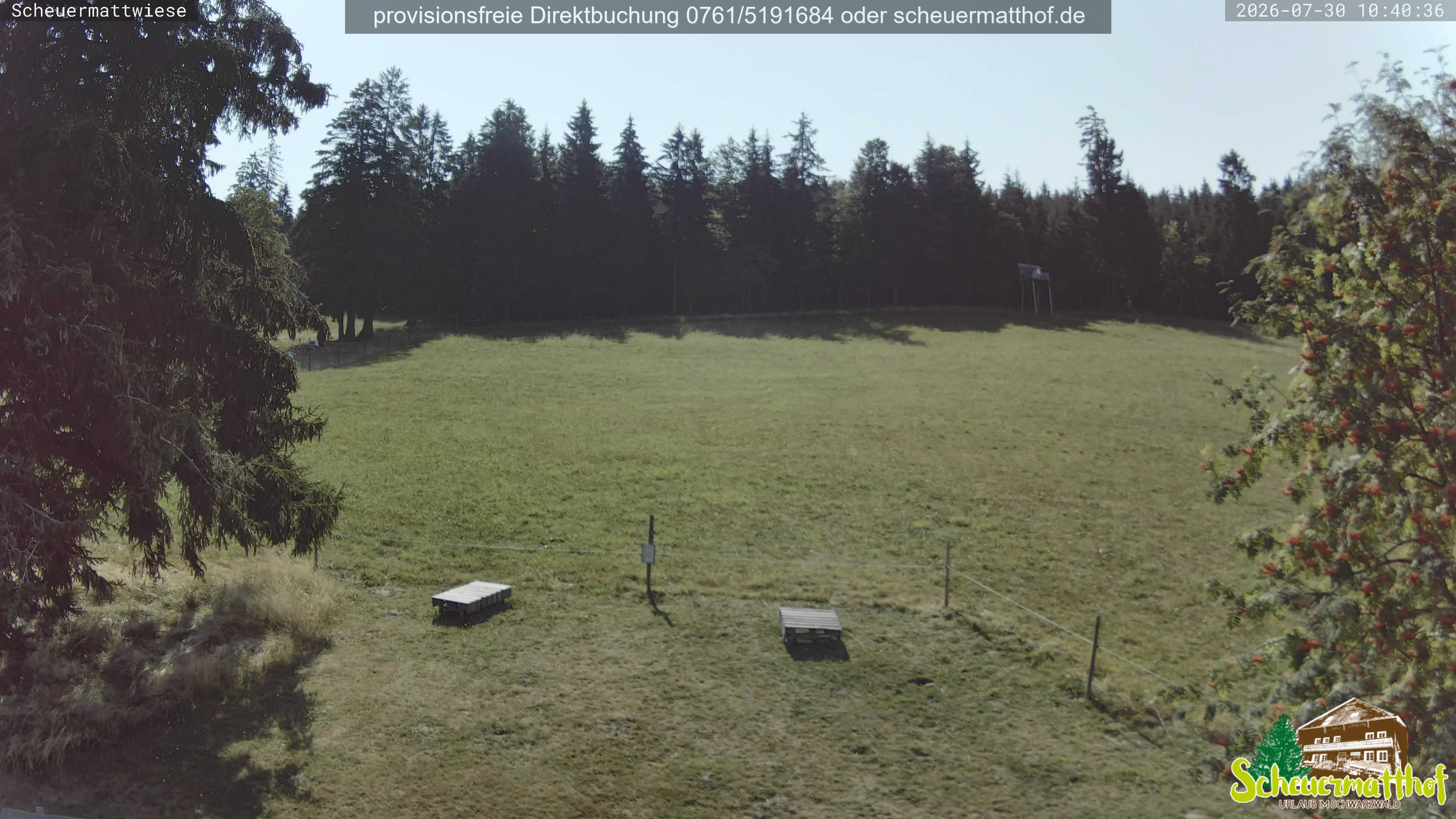 Archiv Foto Webcam Todtnauberg - Scheuermattwiese