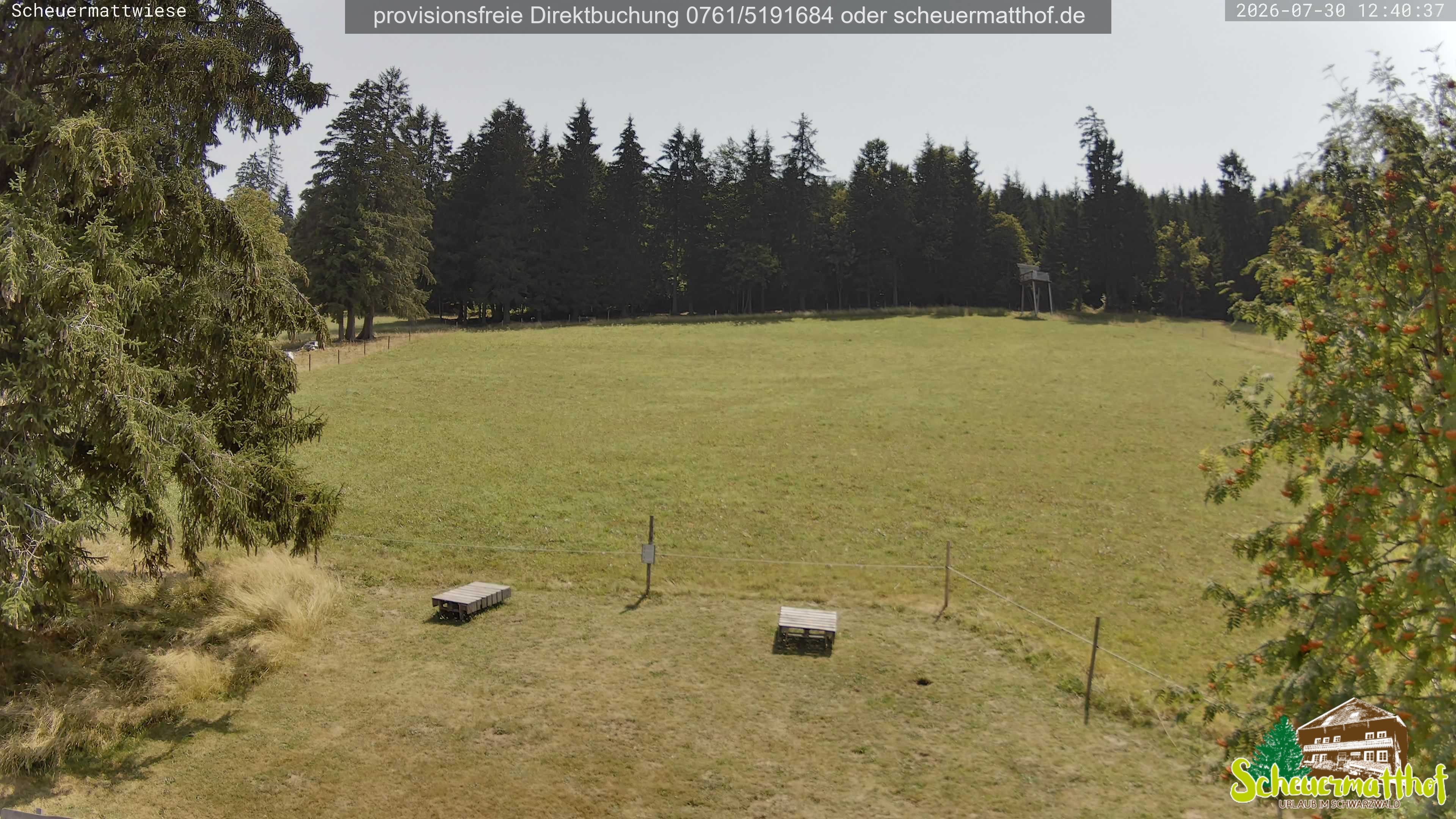 Archiv Foto Webcam Todtnauberg - Scheuermattwiese