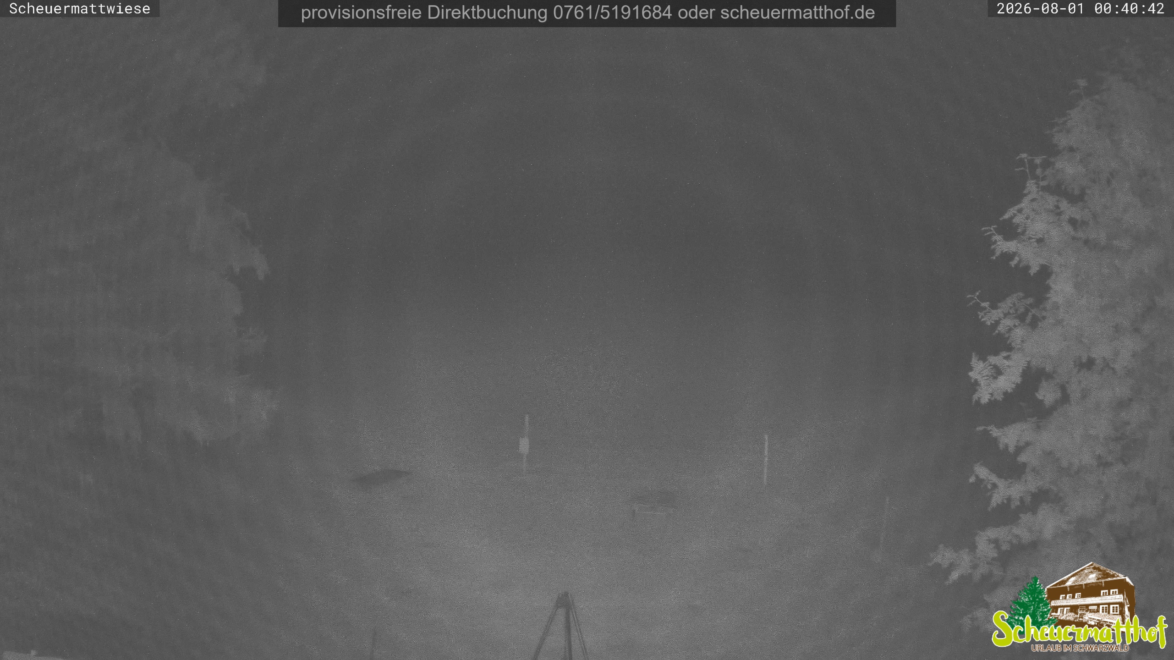 Archived image Webcam Todtnauberg - Scheuermatthof