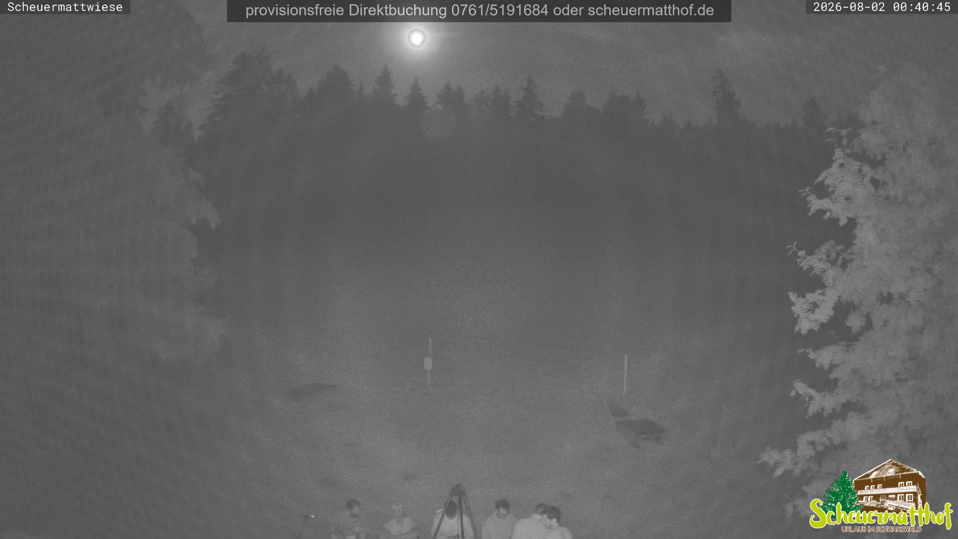 Archiv Foto Webcam Todtnauberg - Scheuermattwiese