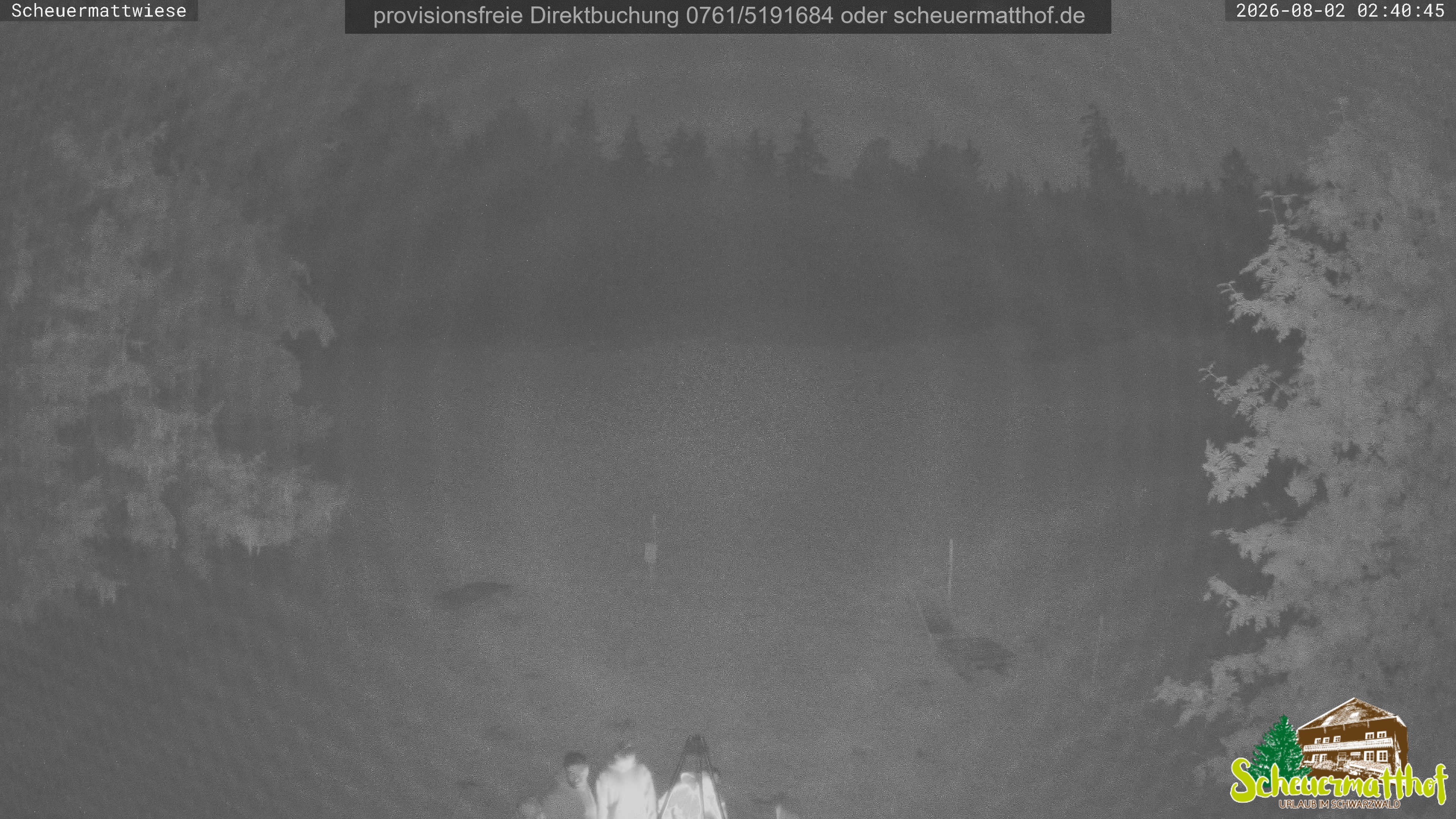 Archiv Foto Webcam Todtnauberg - Scheuermattwiese
