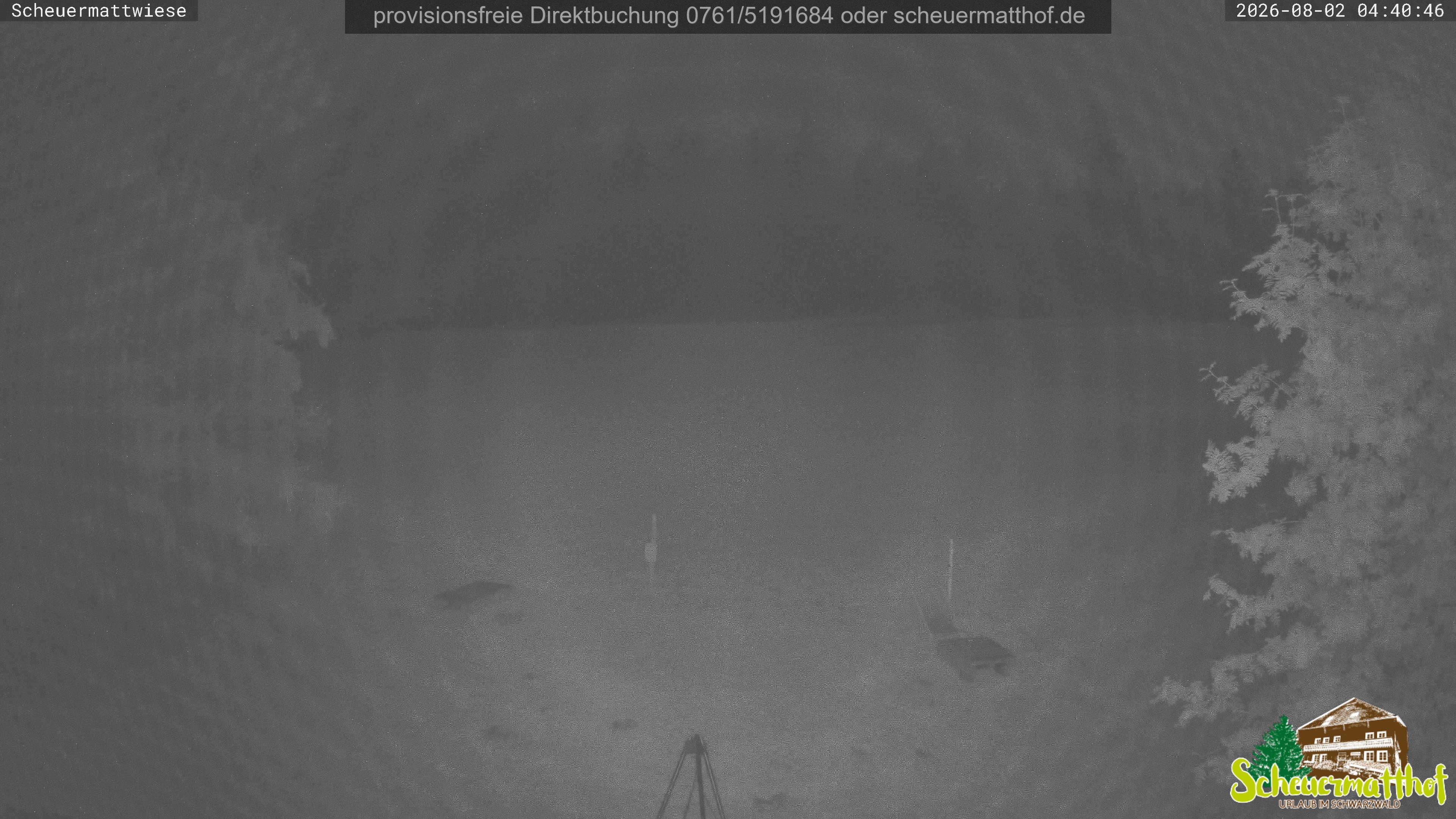 Archiv Foto Webcam Todtnauberg - Scheuermattwiese