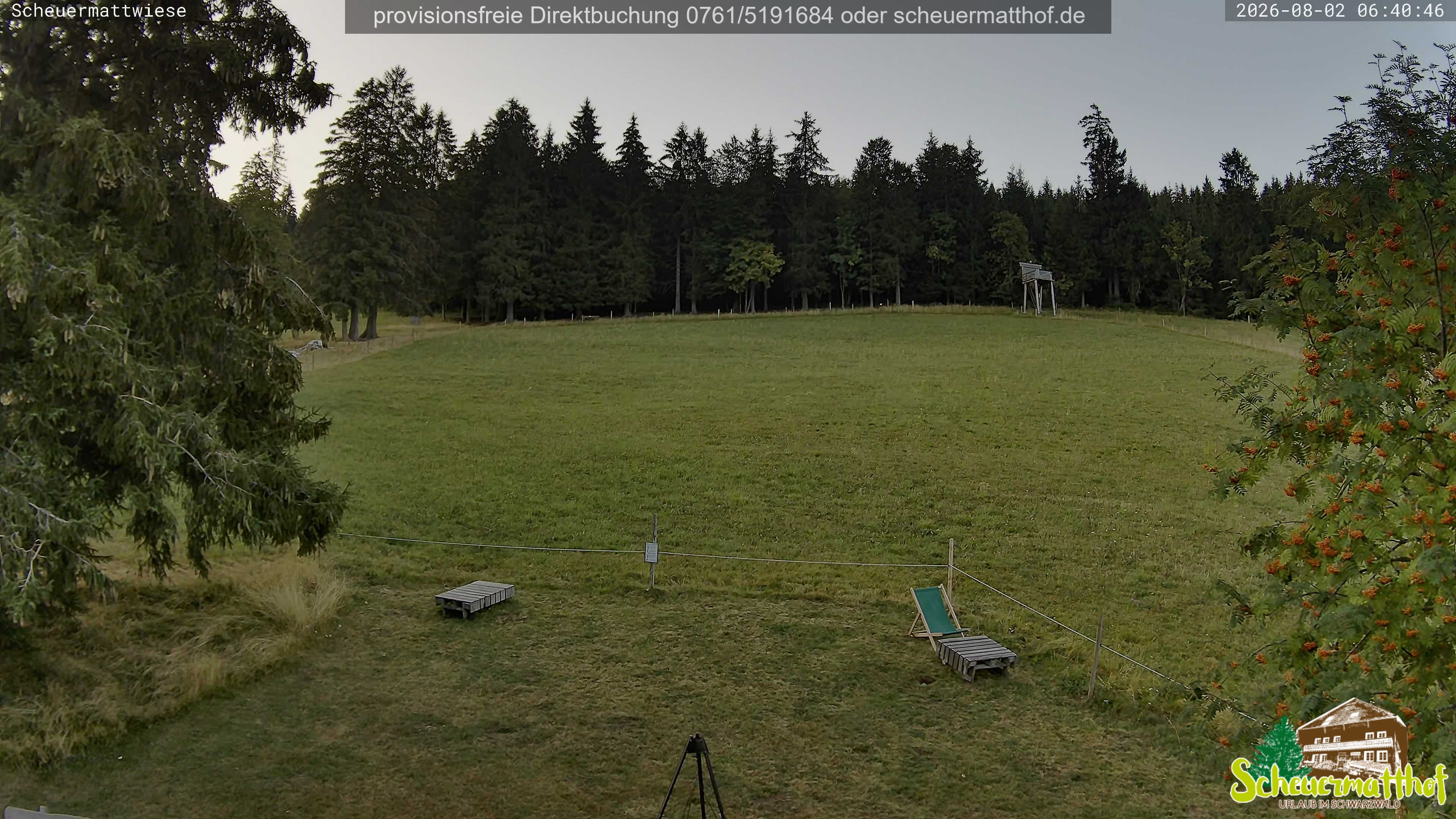 Archiv Foto Webcam Todtnauberg - Scheuermattwiese