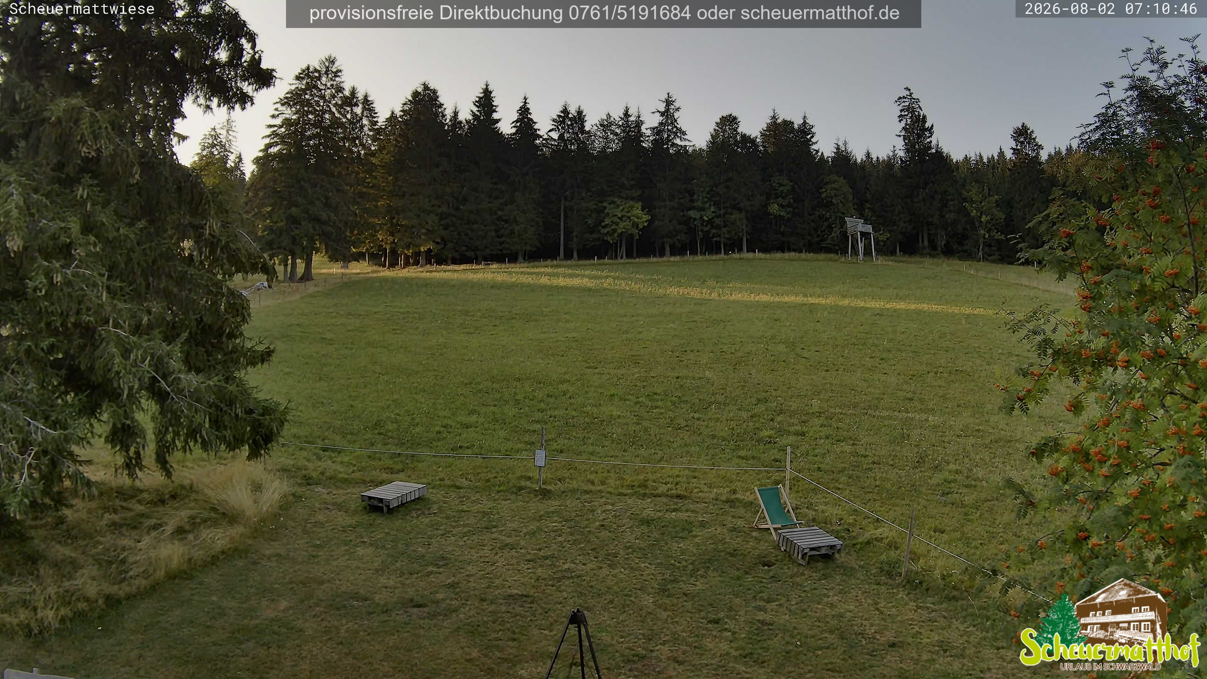 Archiv Foto Webcam Todtnauberg - Scheuermattwiese