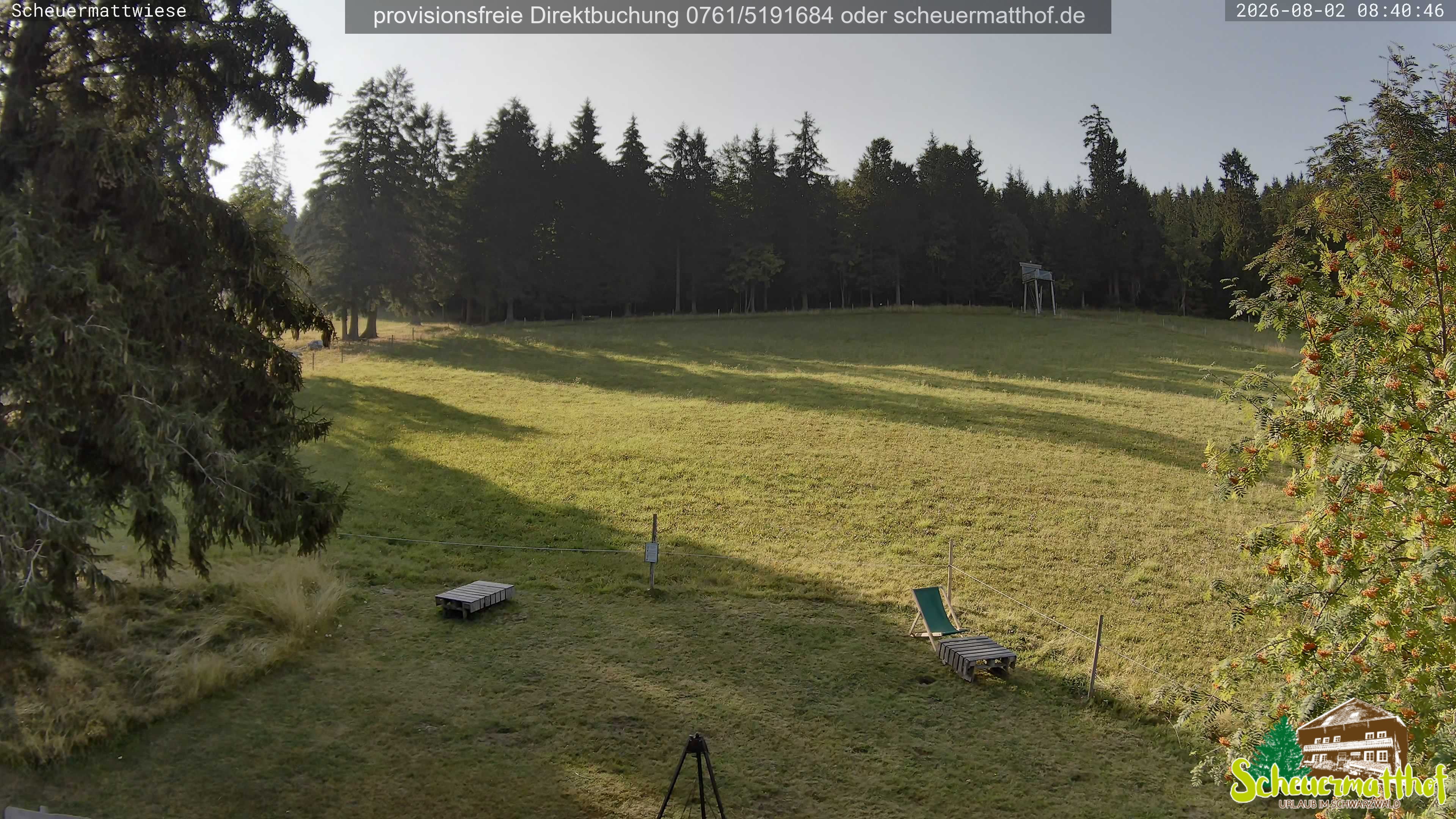 Archiv Foto Webcam Todtnauberg - Scheuermattwiese