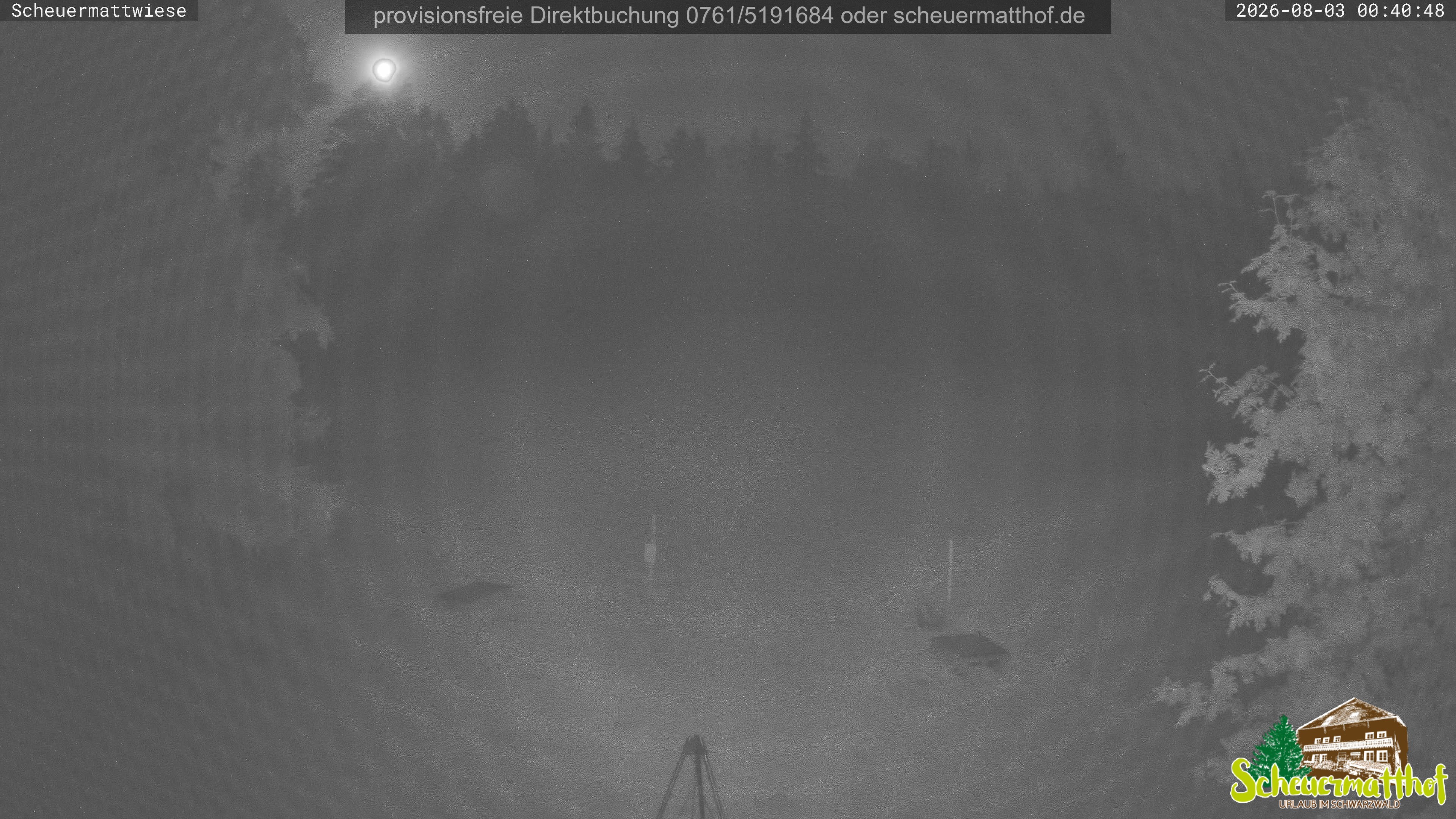 Archived image Webcam Todtnauberg - Scheuermatthof