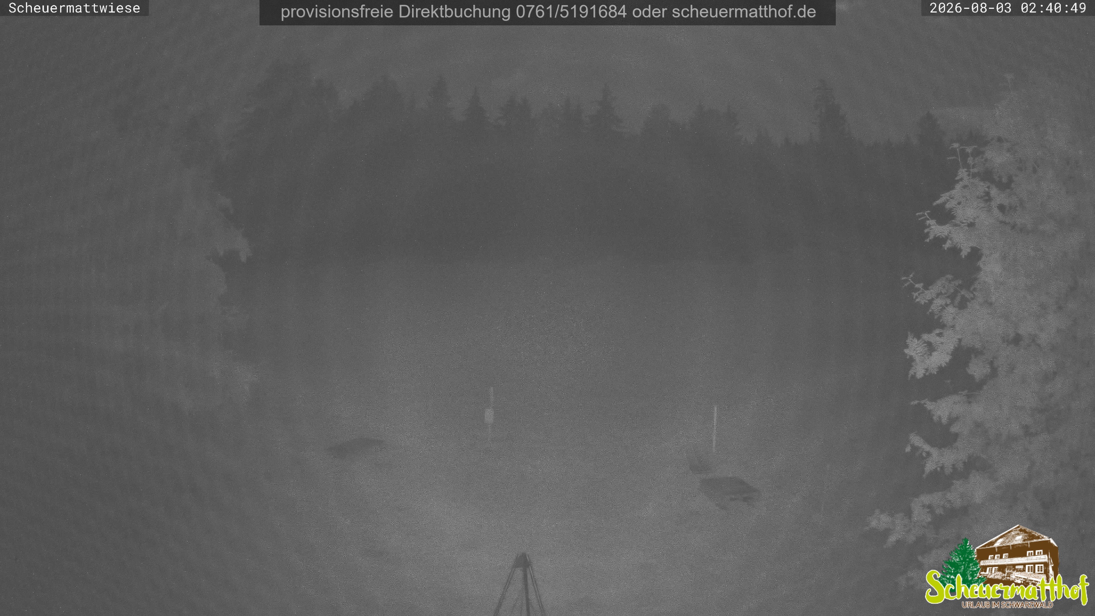 Archived image Webcam Todtnauberg - Scheuermatthof