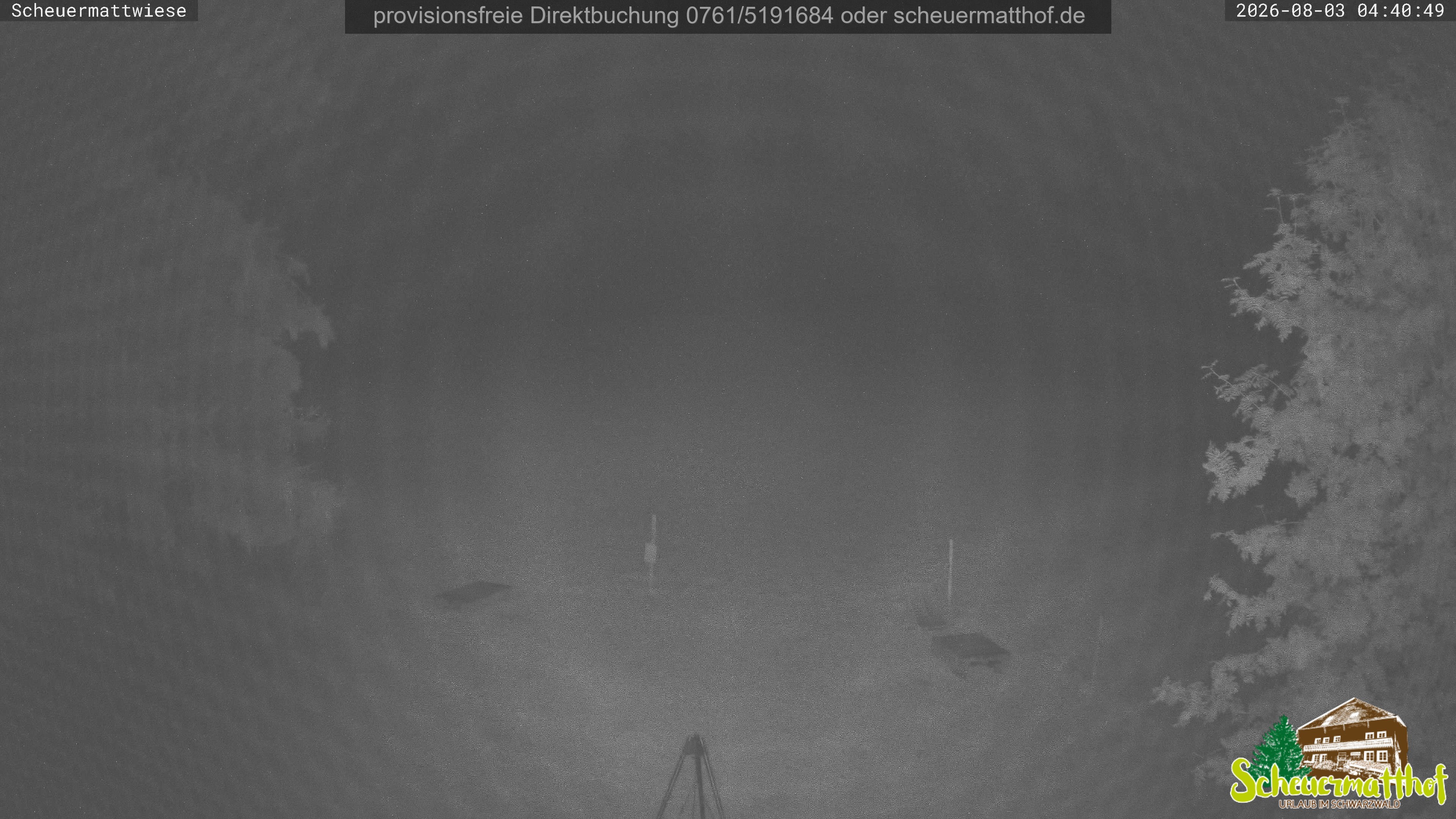 Archived image Webcam Todtnauberg - Scheuermatthof