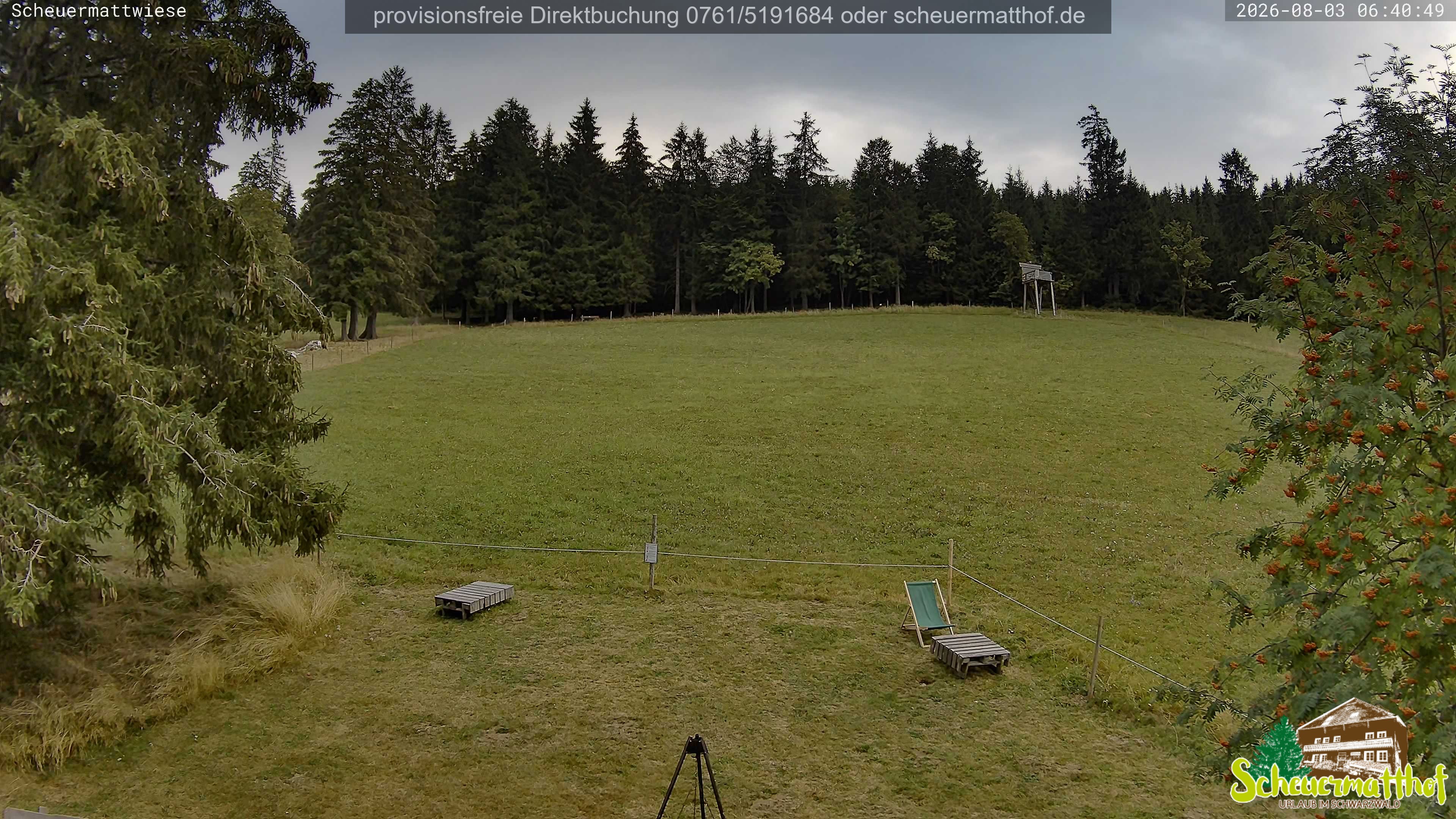 Archived image Webcam Todtnauberg - Scheuermatthof