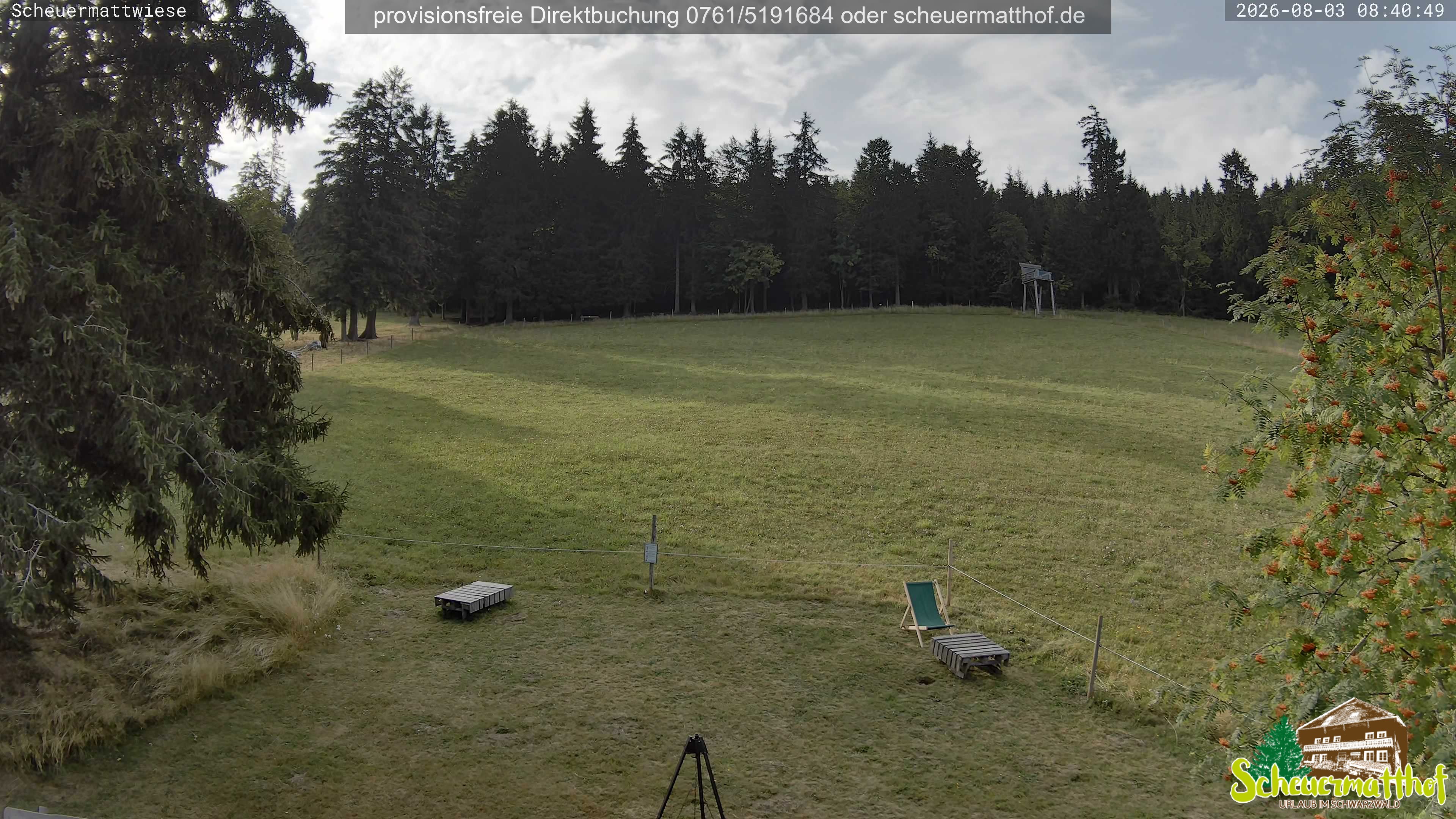 Archived image Webcam Todtnauberg - Scheuermatthof