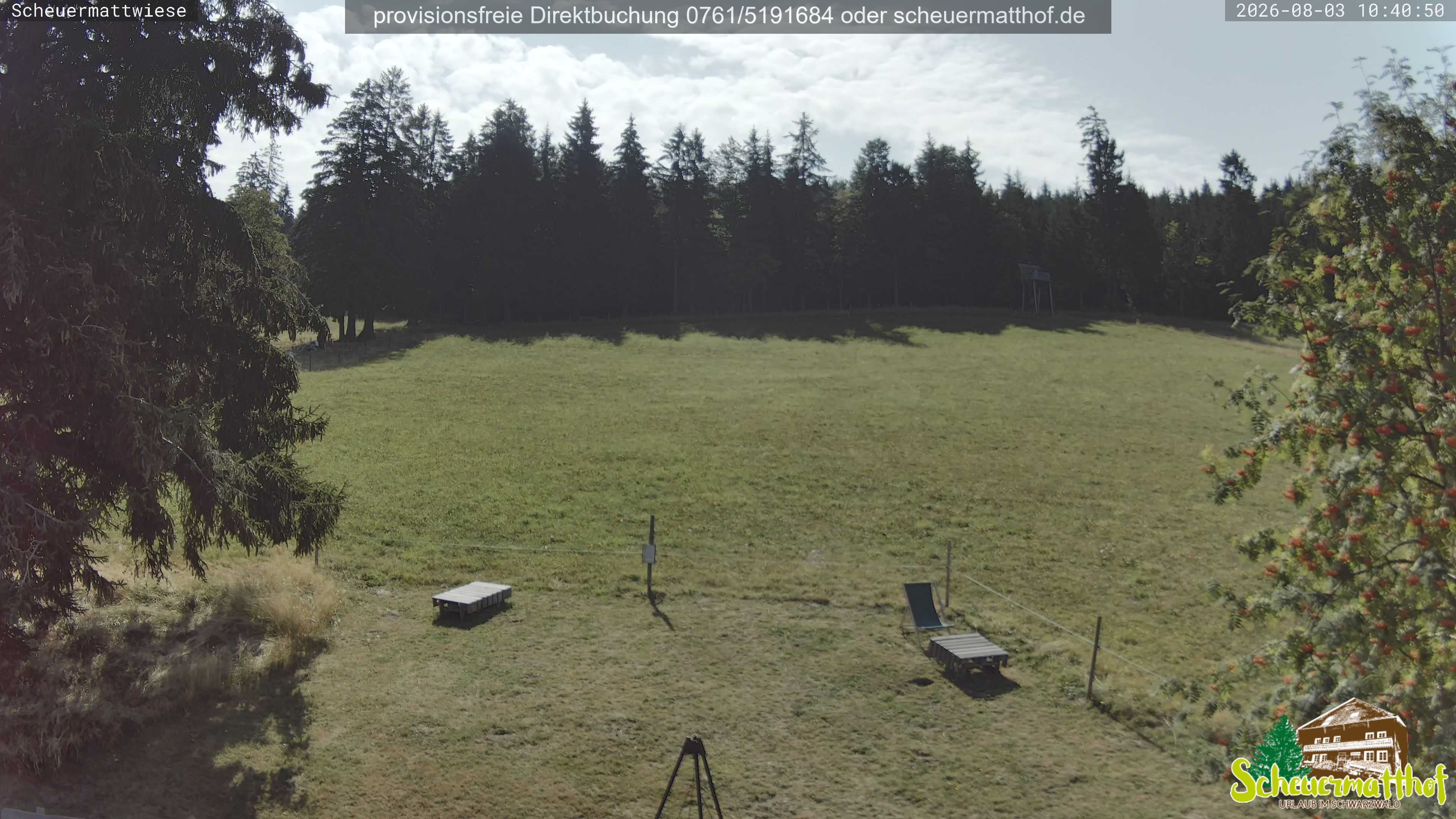 Archiv Foto Webcam Todtnauberg - Scheuermattwiese