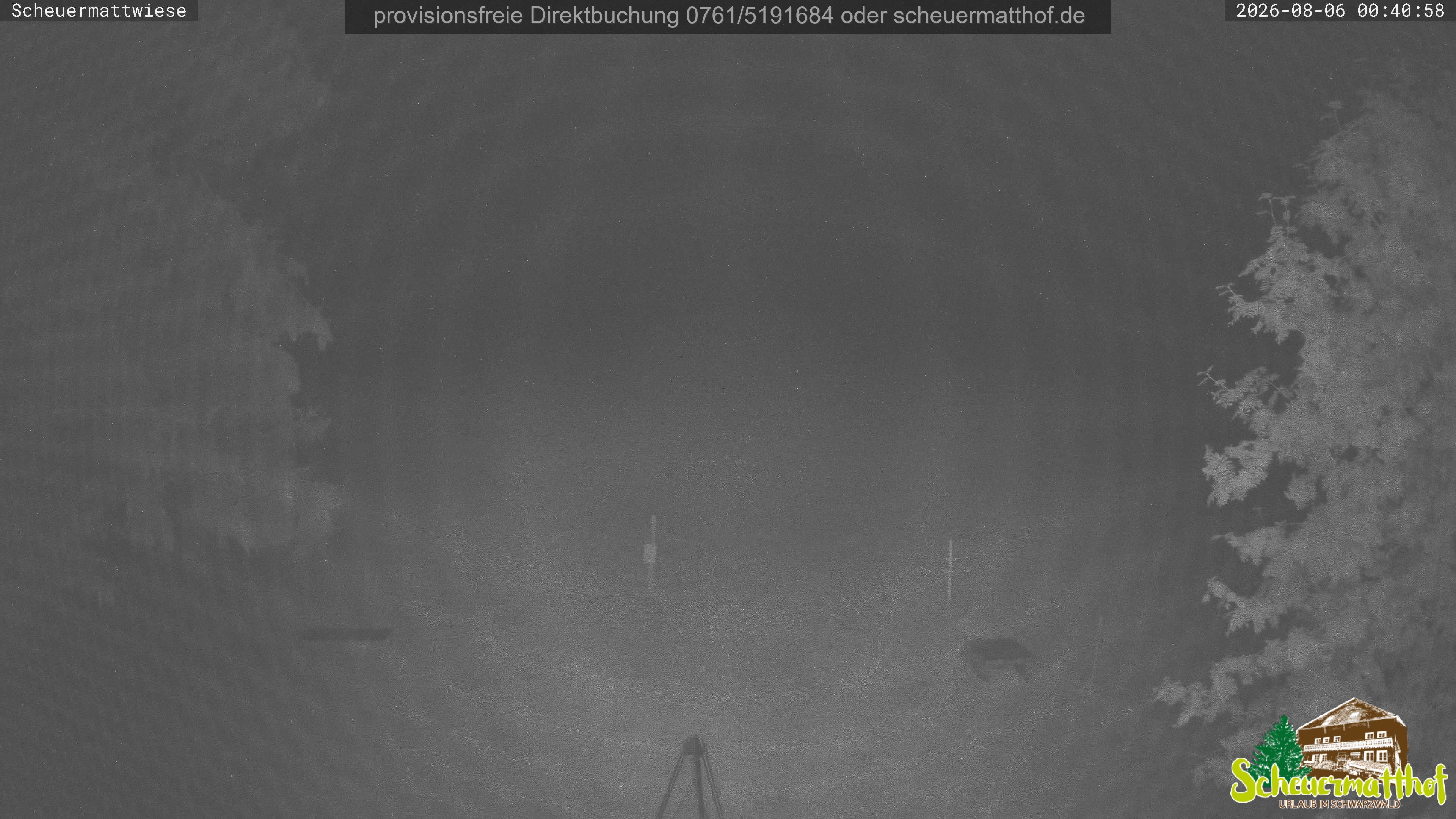 Archiv Foto Webcam Todtnauberg - Scheuermattwiese