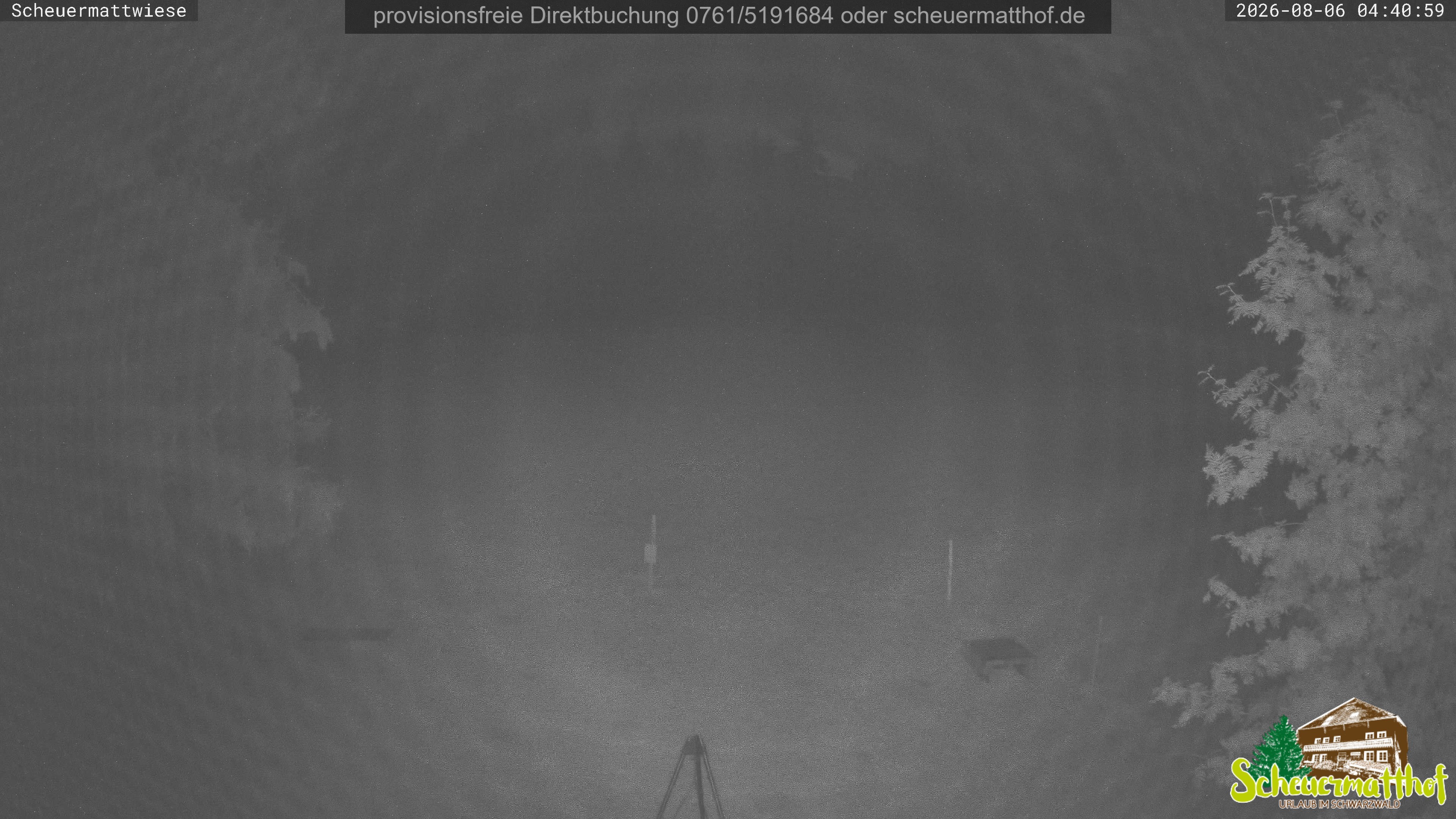 Archiv Foto Webcam Todtnauberg - Scheuermattwiese