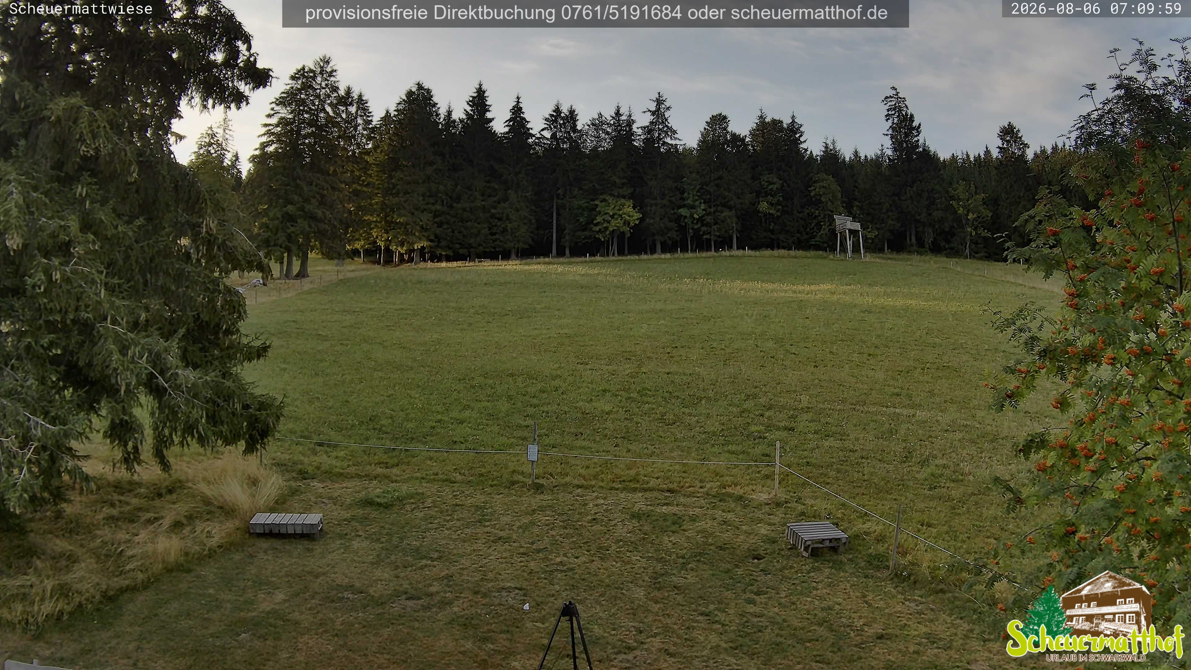Archiv Foto Webcam Todtnauberg - Scheuermattwiese