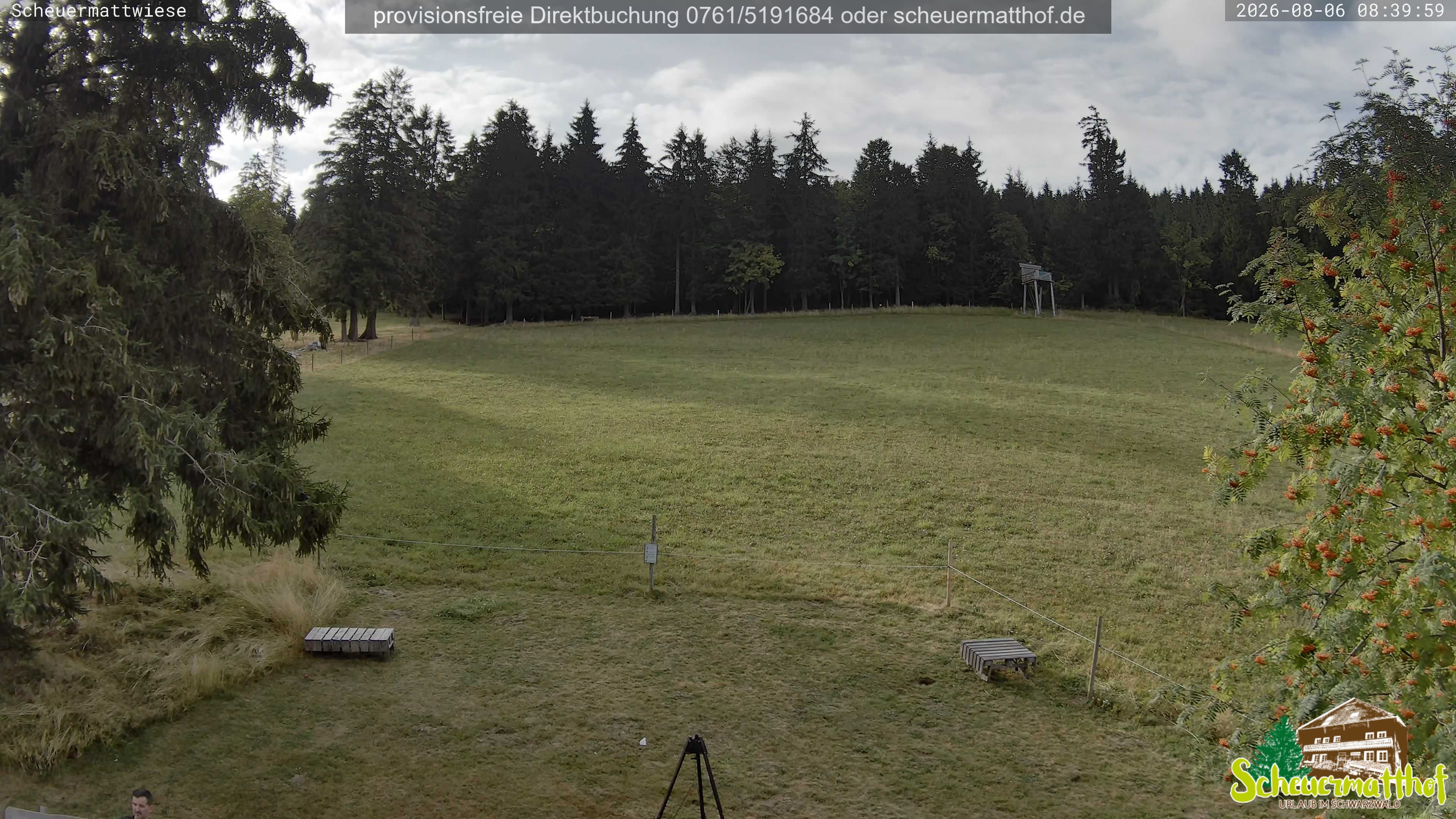 Archiv Foto Webcam Todtnauberg - Scheuermattwiese