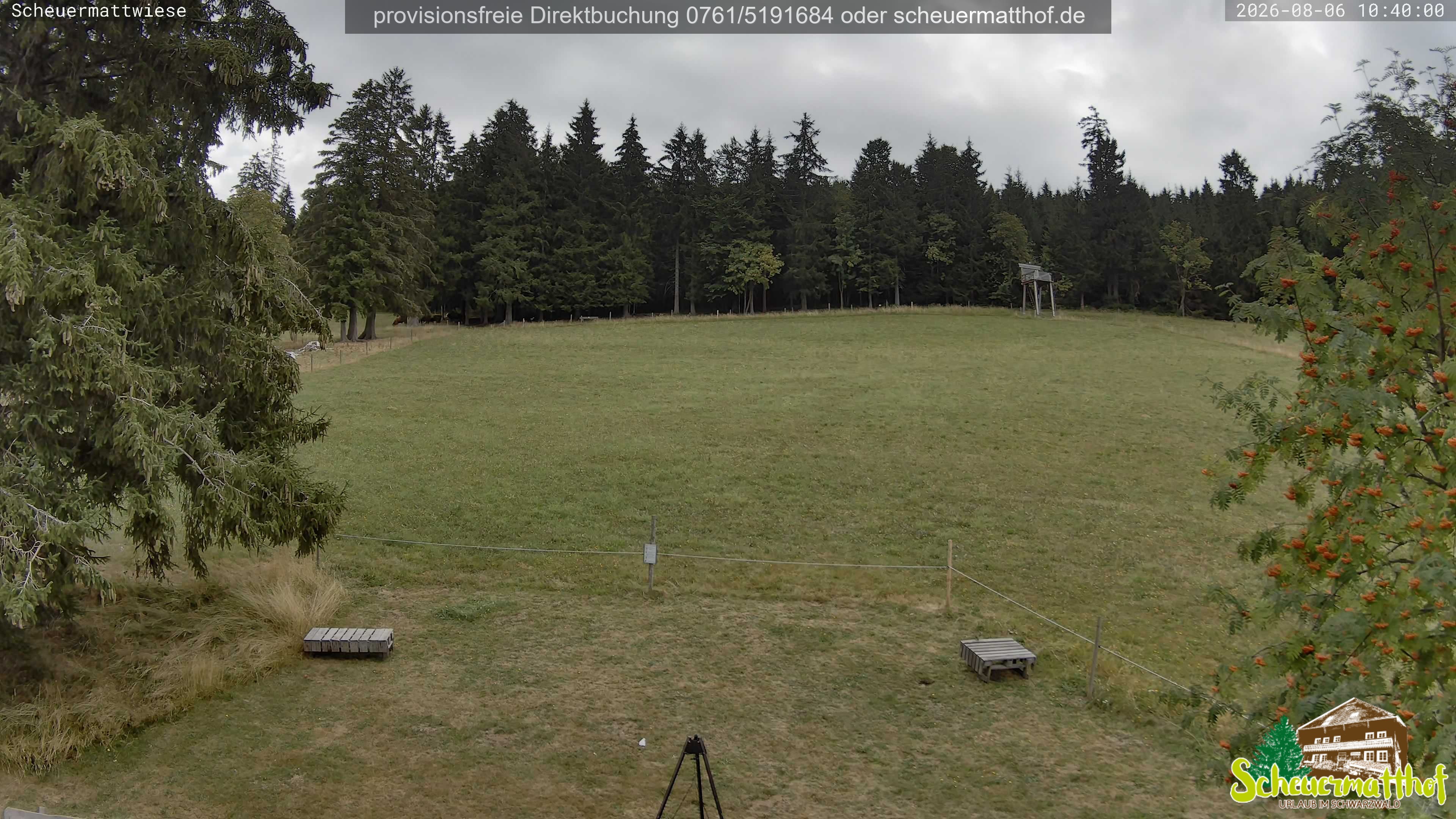 Archiv Foto Webcam Todtnauberg - Scheuermattwiese