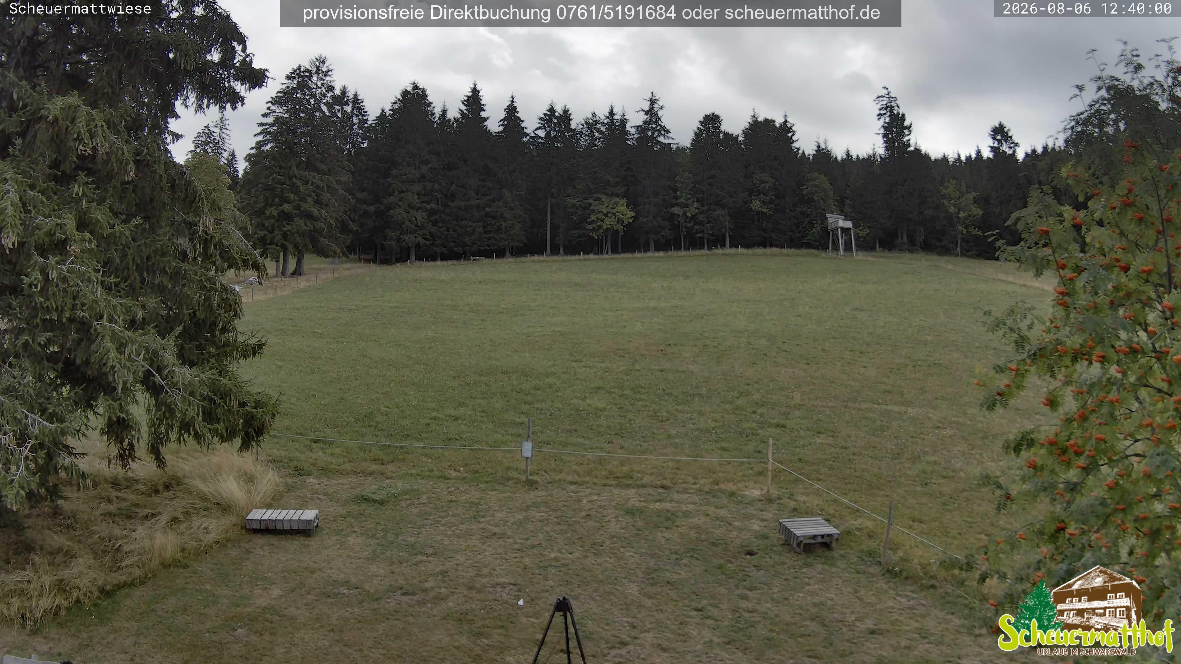 Archiv Foto Webcam Todtnauberg - Scheuermattwiese