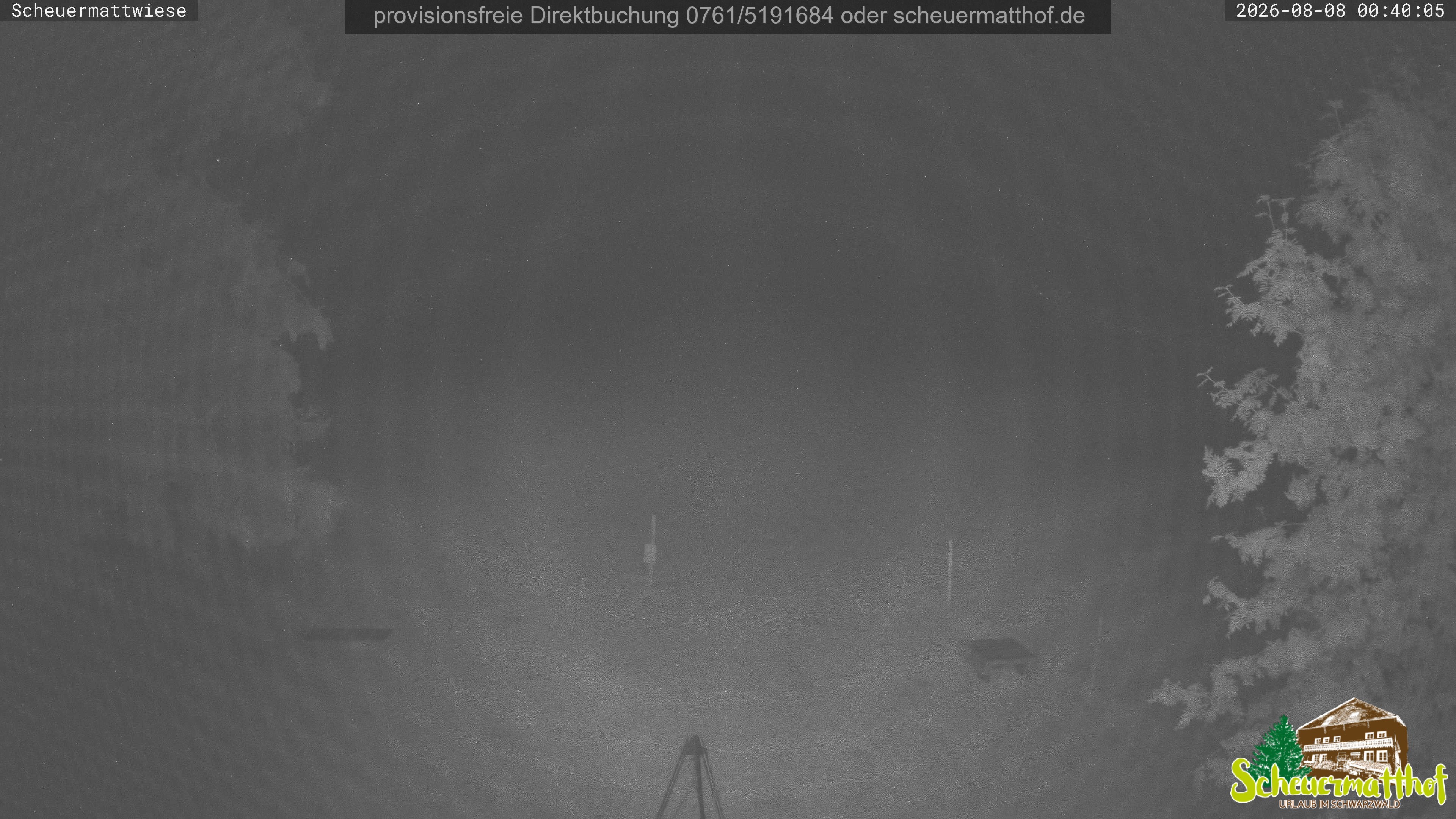 Archived image Webcam Todtnauberg - Scheuermatthof