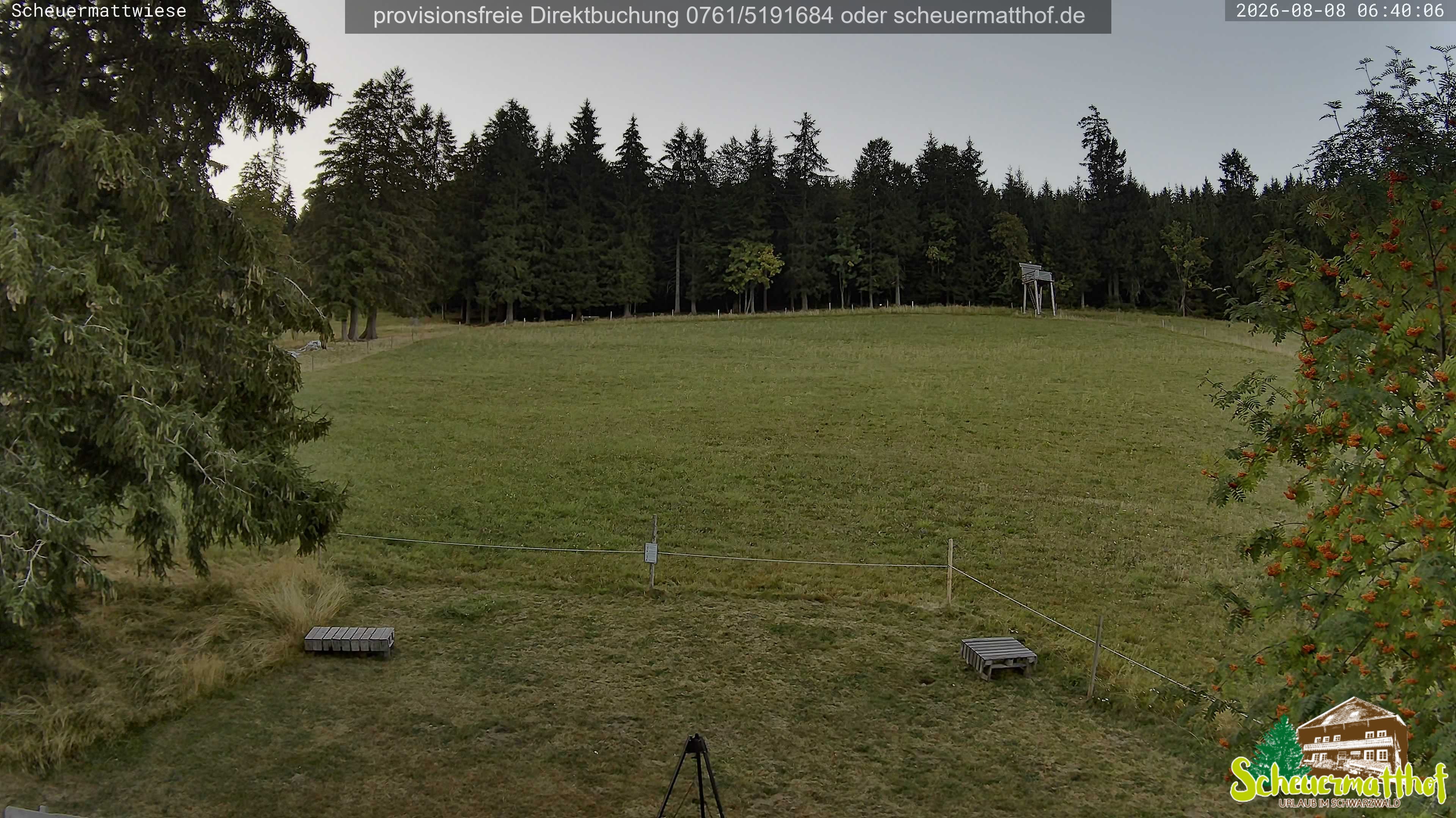 Archived image Webcam Todtnauberg - Scheuermatthof