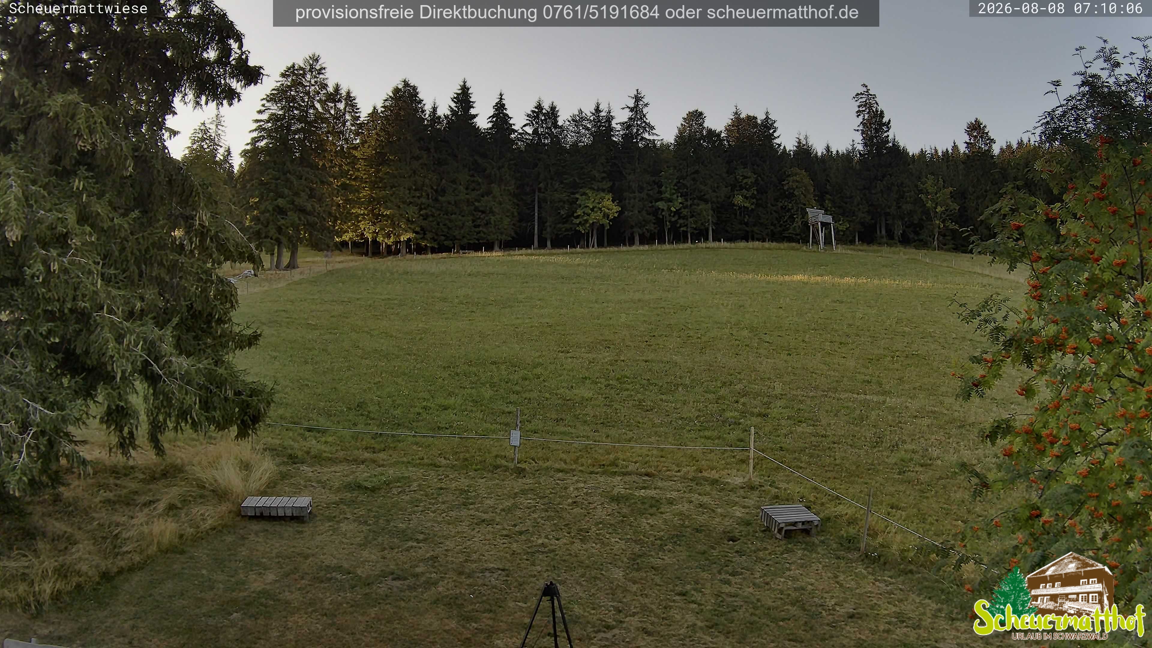 Archived image Webcam Todtnauberg - Scheuermatthof