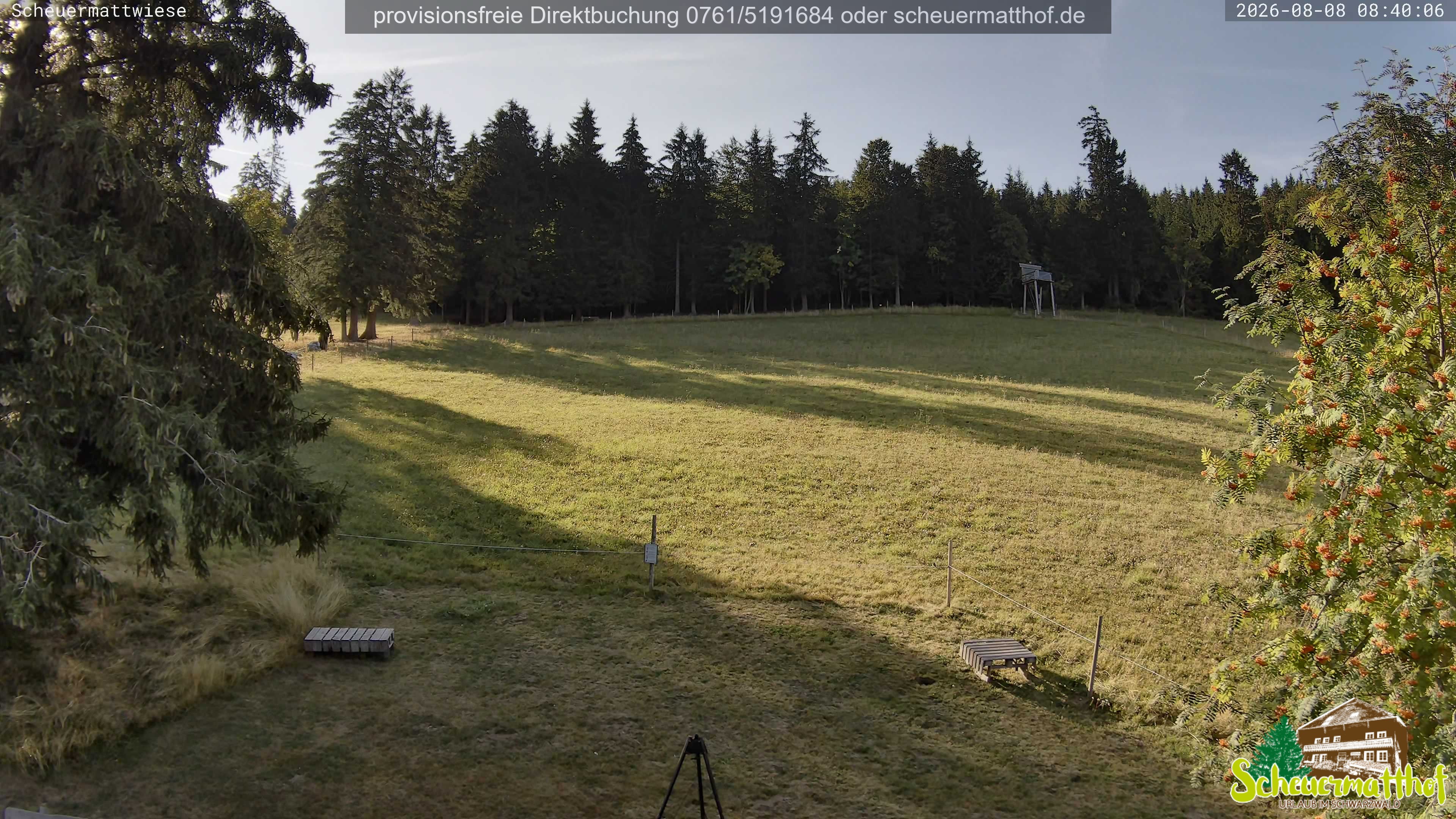 Archived image Webcam Todtnauberg - Scheuermatthof
