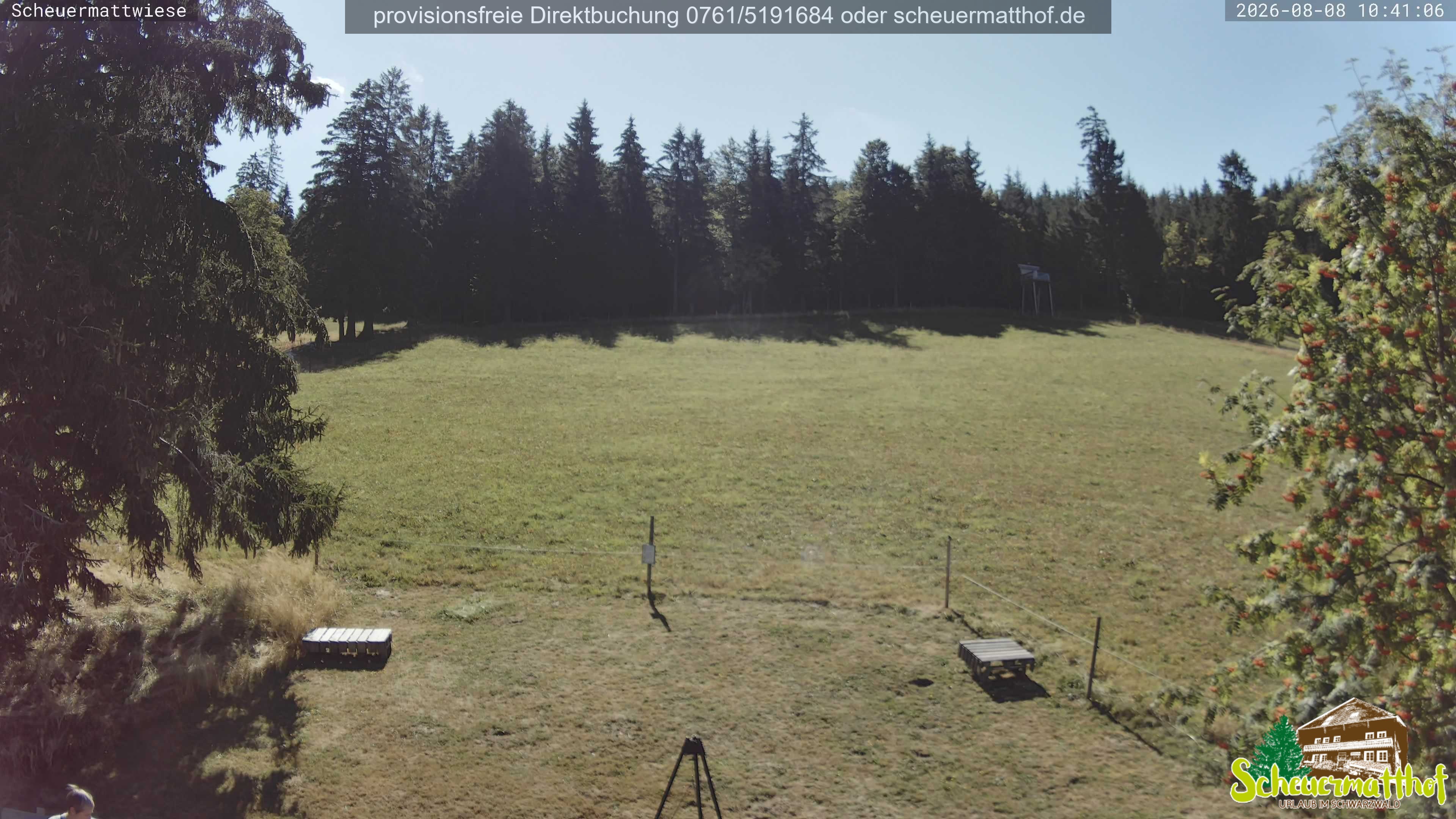 Archived image Webcam Todtnauberg - Scheuermatthof